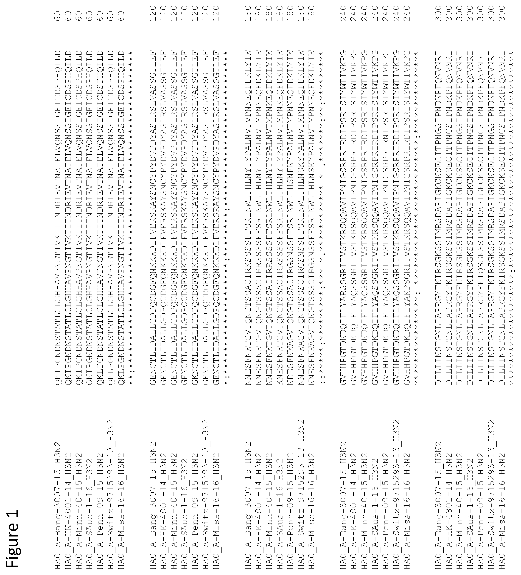 Patent US12139511 Figure 1 – Influenza virus hemagglutinin mutants