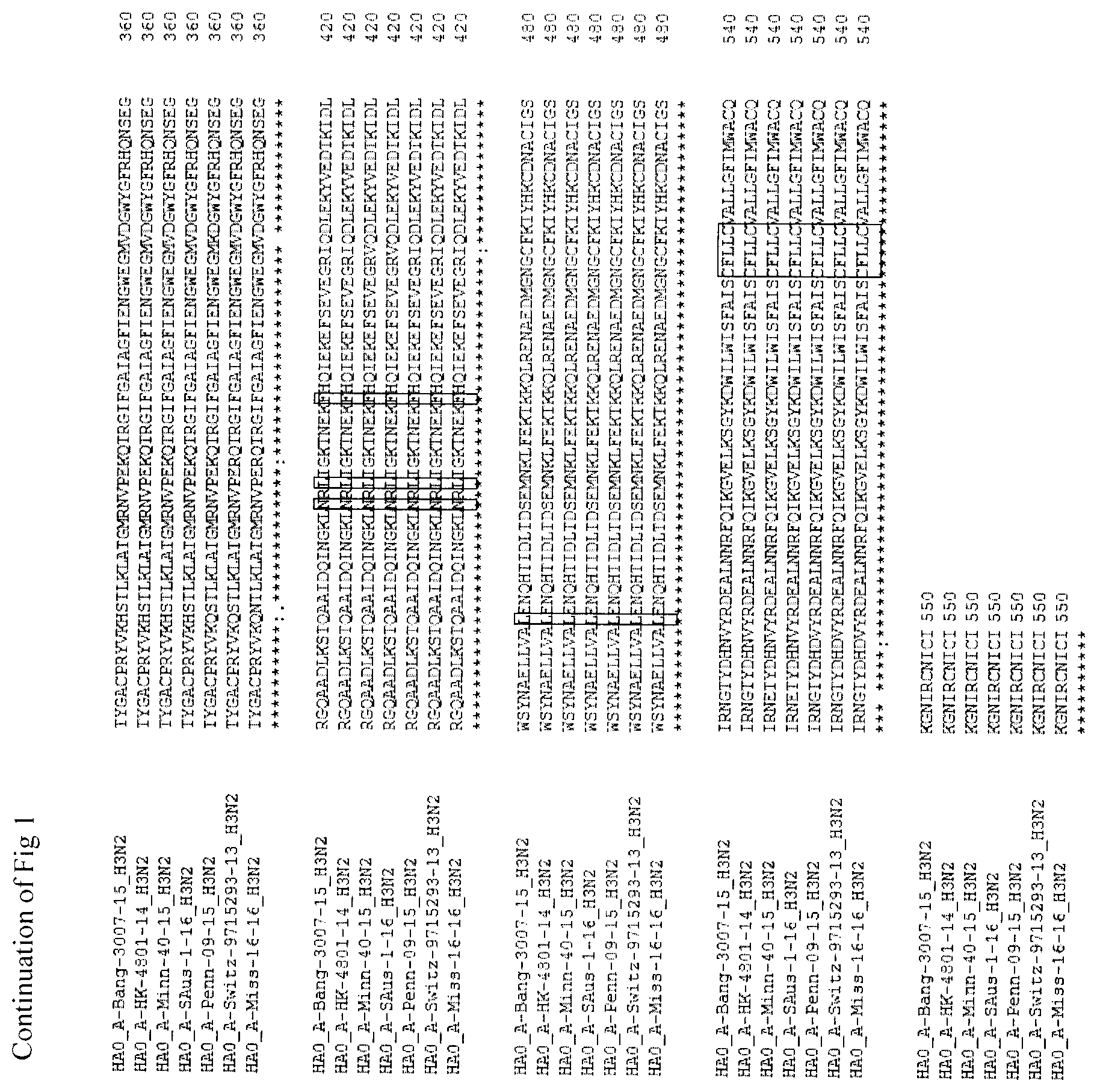Patent US12139511 Figure 2 – Influenza virus hemagglutinin mutants