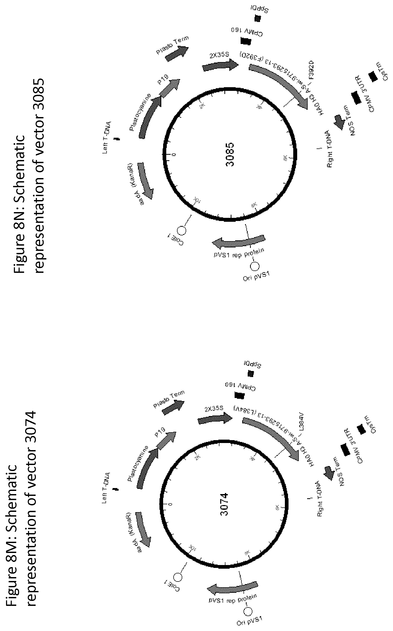 Patent US12139511 Figure 16 – Influenza virus hemagglutinin mutants