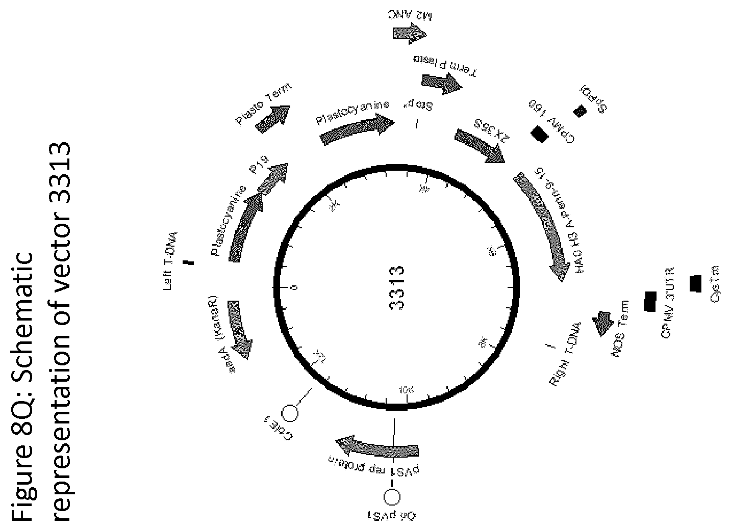 Patent US12139511 Figure 18 – Influenza virus hemagglutinin mutants
