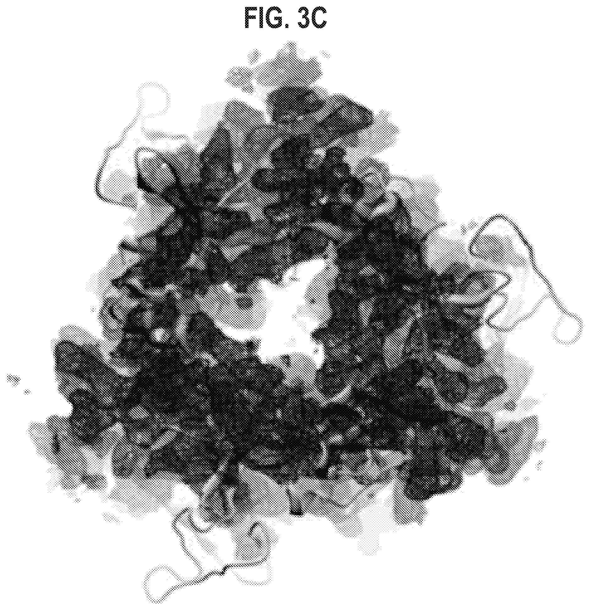 Patent US12139512 Figure 6 – Pre-fusion RSV F antigens