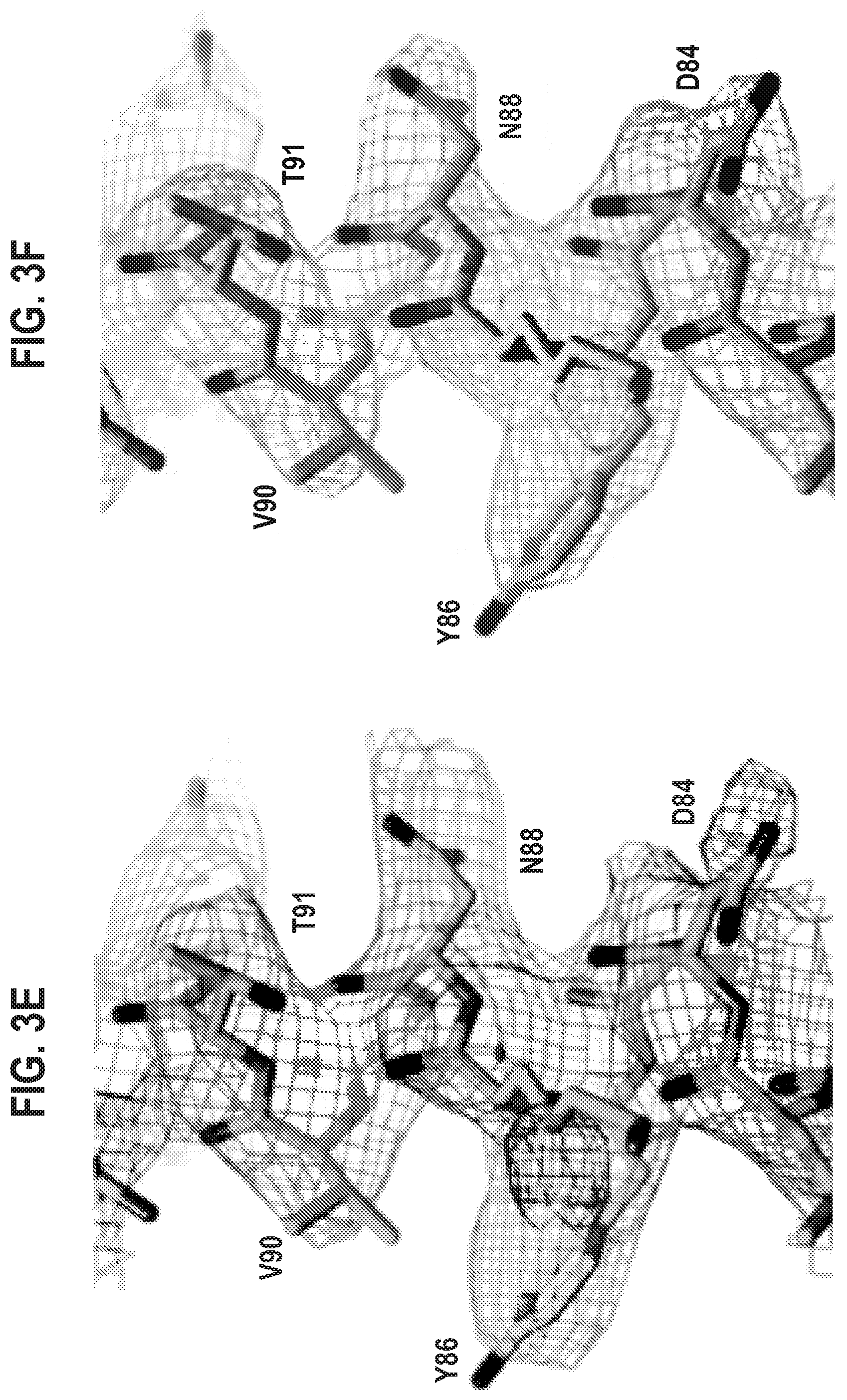 Patent US12139512 Figure 8 – Pre-fusion RSV F antigens