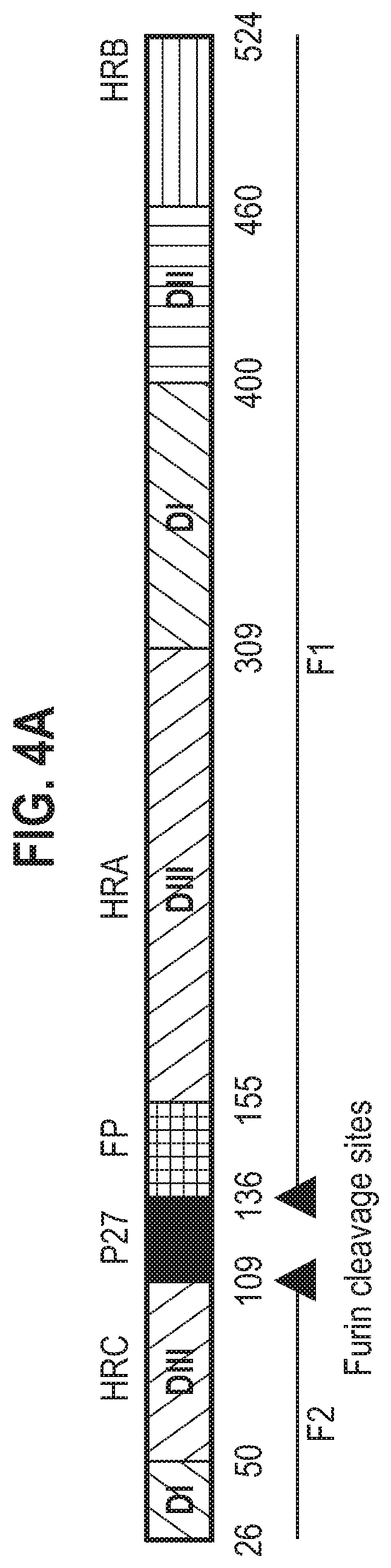 Patent US12139512 Figure 9 – Pre-fusion RSV F antigens