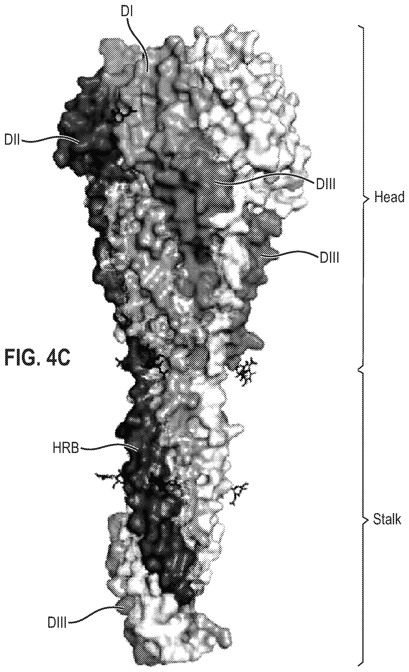 Patent US12139512 Figure 11 – Pre-fusion RSV F antigens