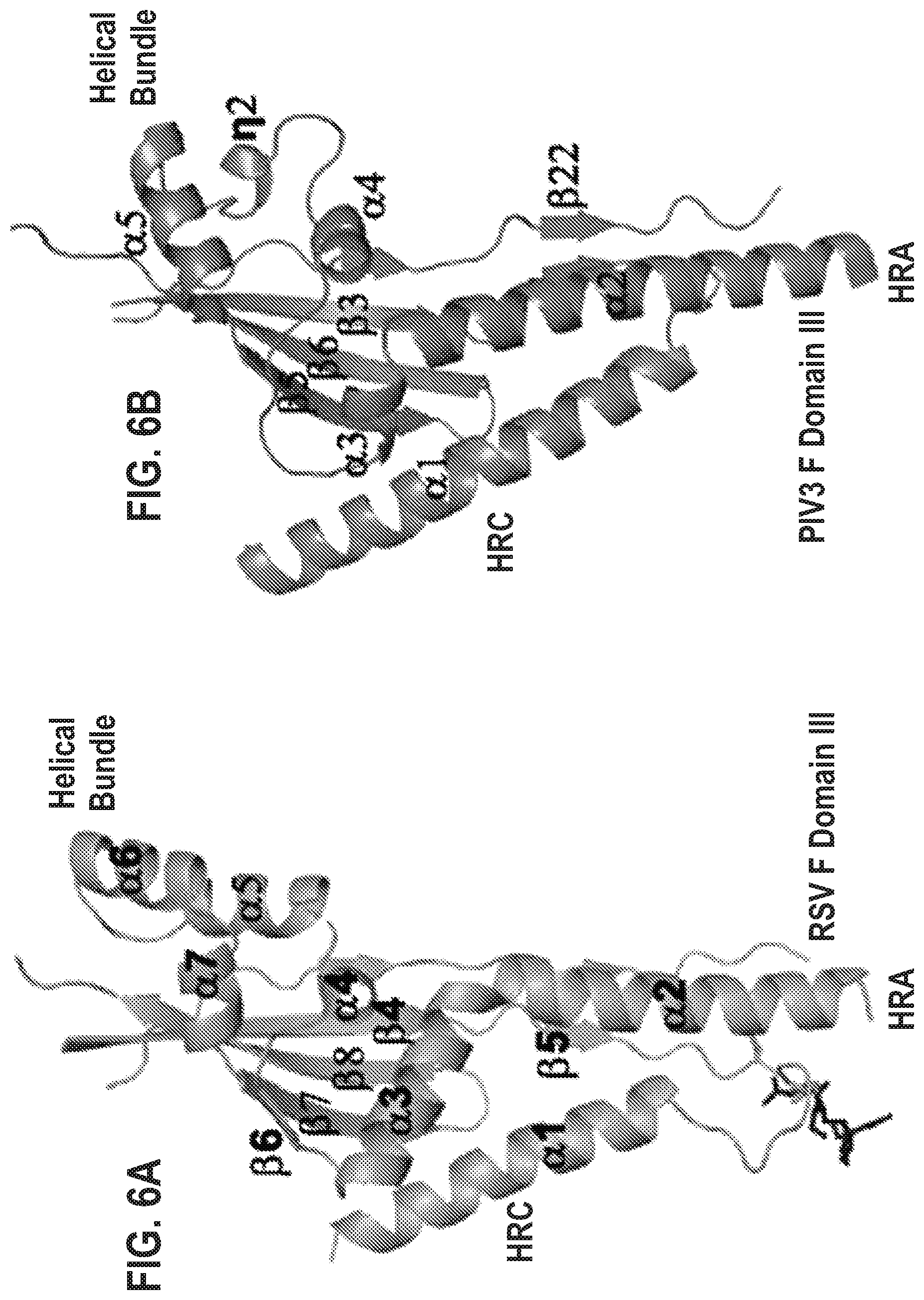 Patent US12139512 Figure 14 – Pre-fusion RSV F antigens