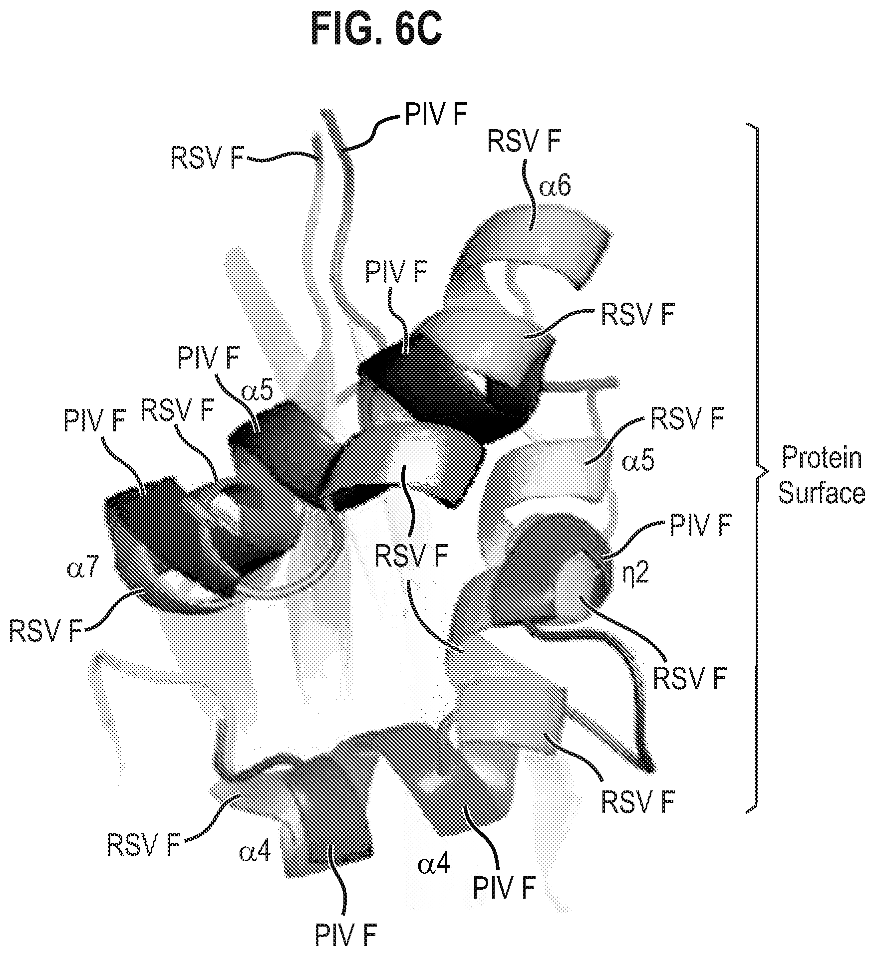 Patent US12139512 Figure 15 – Pre-fusion RSV F antigens