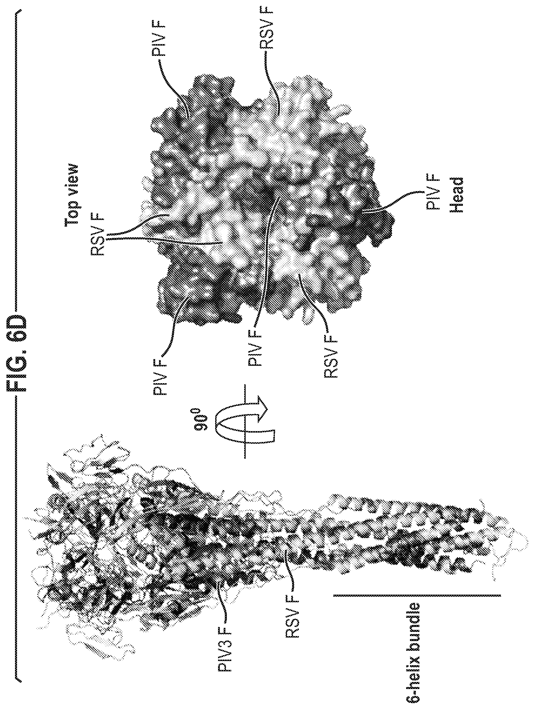 Patent US12139512 Figure 16 – Pre-fusion RSV F antigens