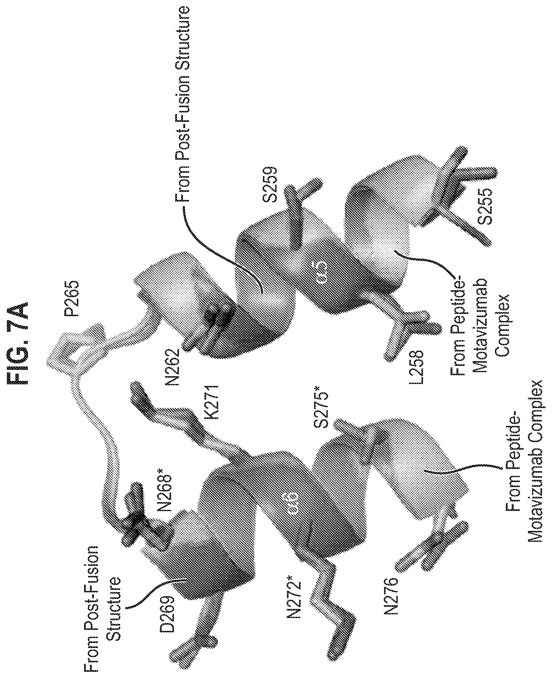 Patent US12139512 Figure 17 – Pre-fusion RSV F antigens