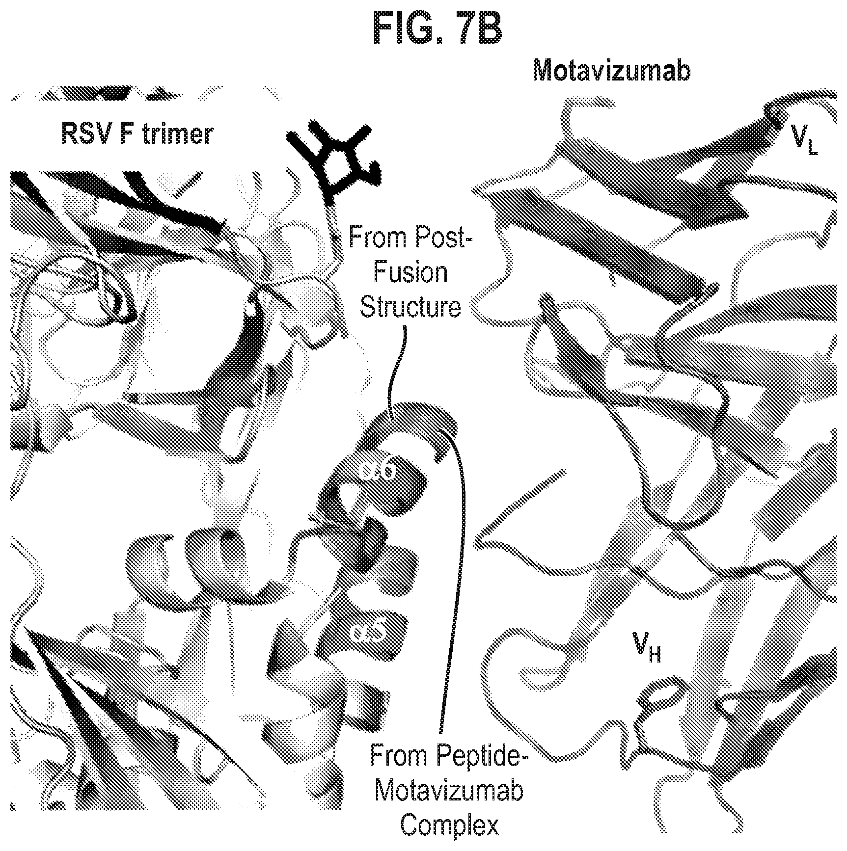 Patent US12139512 Figure 18 – Pre-fusion RSV F antigens