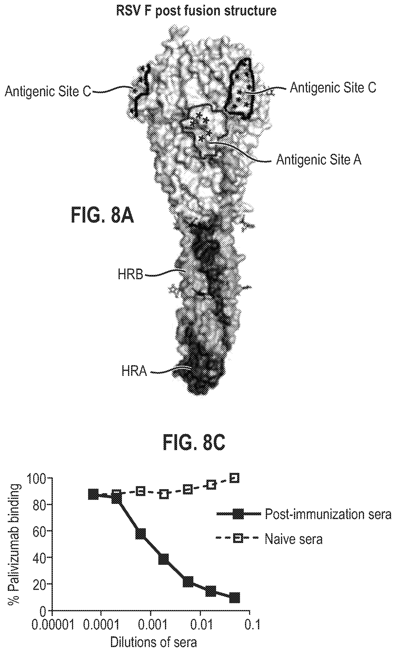 Patent US12139512 Figure 19 – Pre-fusion RSV F antigens