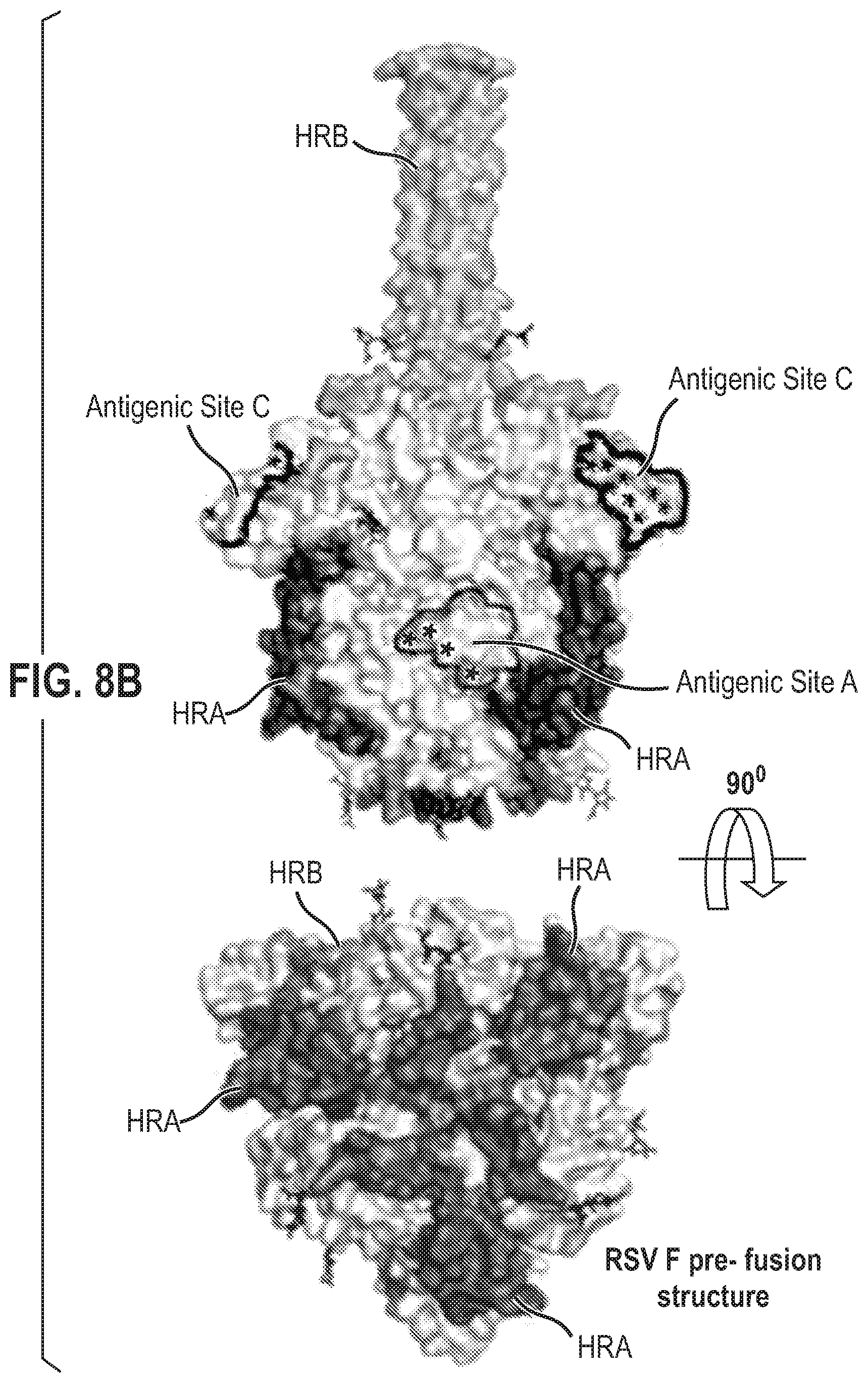 Patent US12139512 Figure 20 – Pre-fusion RSV F antigens