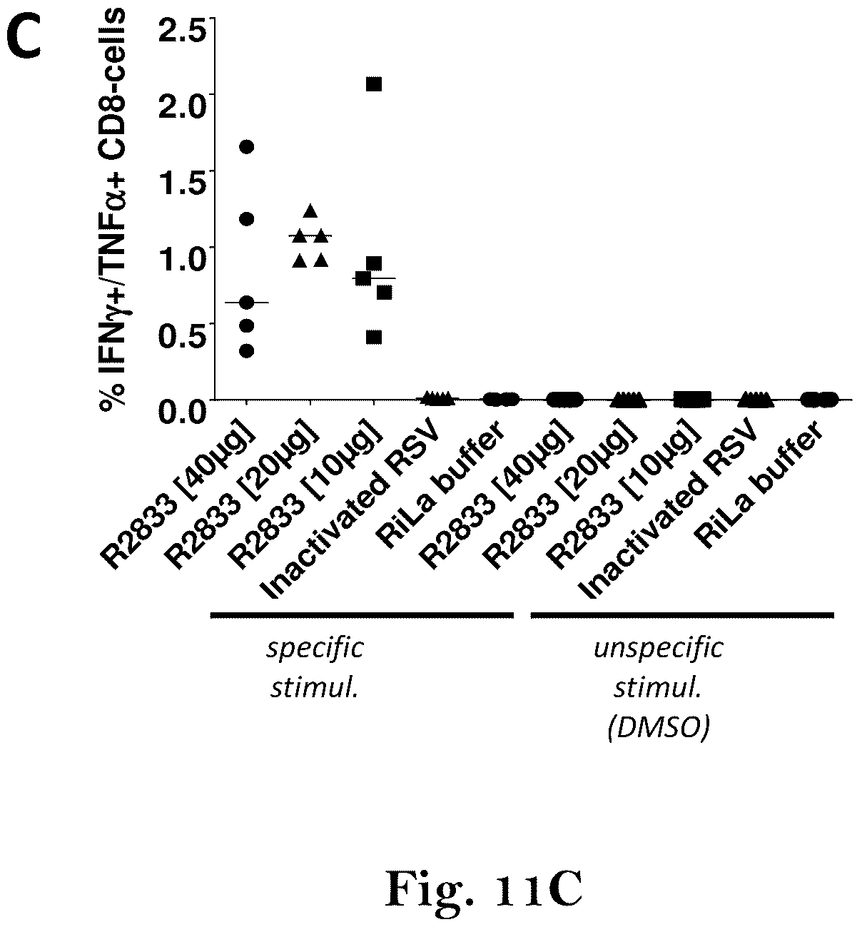 Patent US12139513 Figure 16 – Respiratory syncytial virus (RSV) vaccine