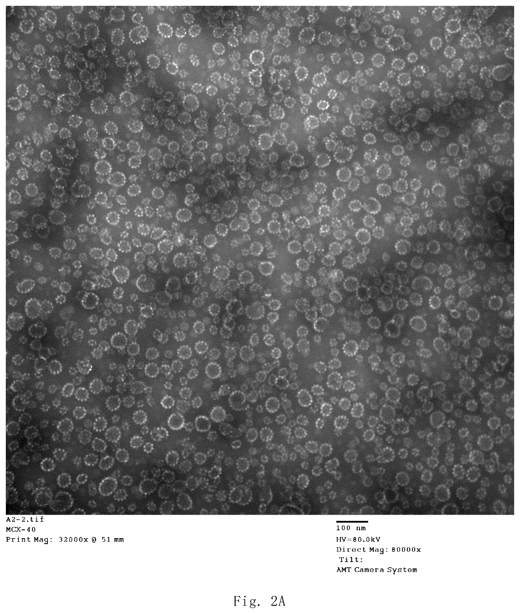 Patent US12139514 Figure 7 – Chimeric papilloma virus L1 protein