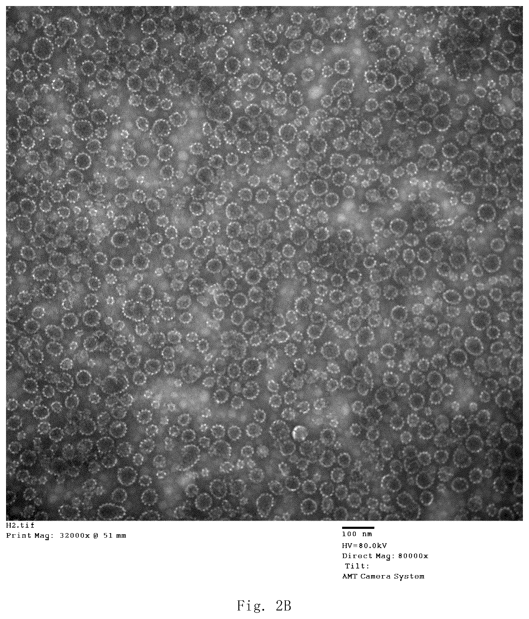 Patent US12139514 Figure 8 – Chimeric papilloma virus L1 protein