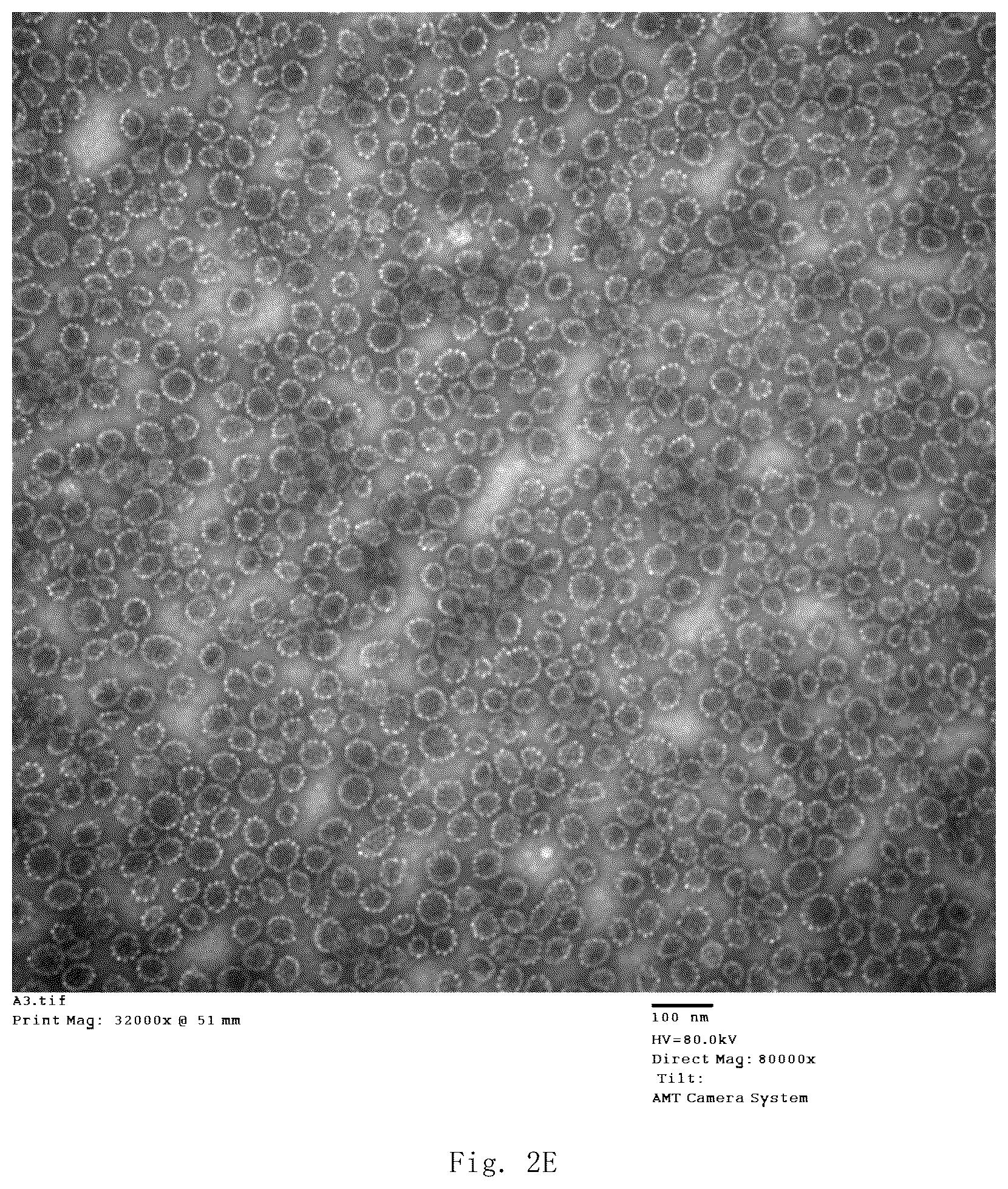 Patent US12139514 Figure 11 – Chimeric papilloma virus L1 protein