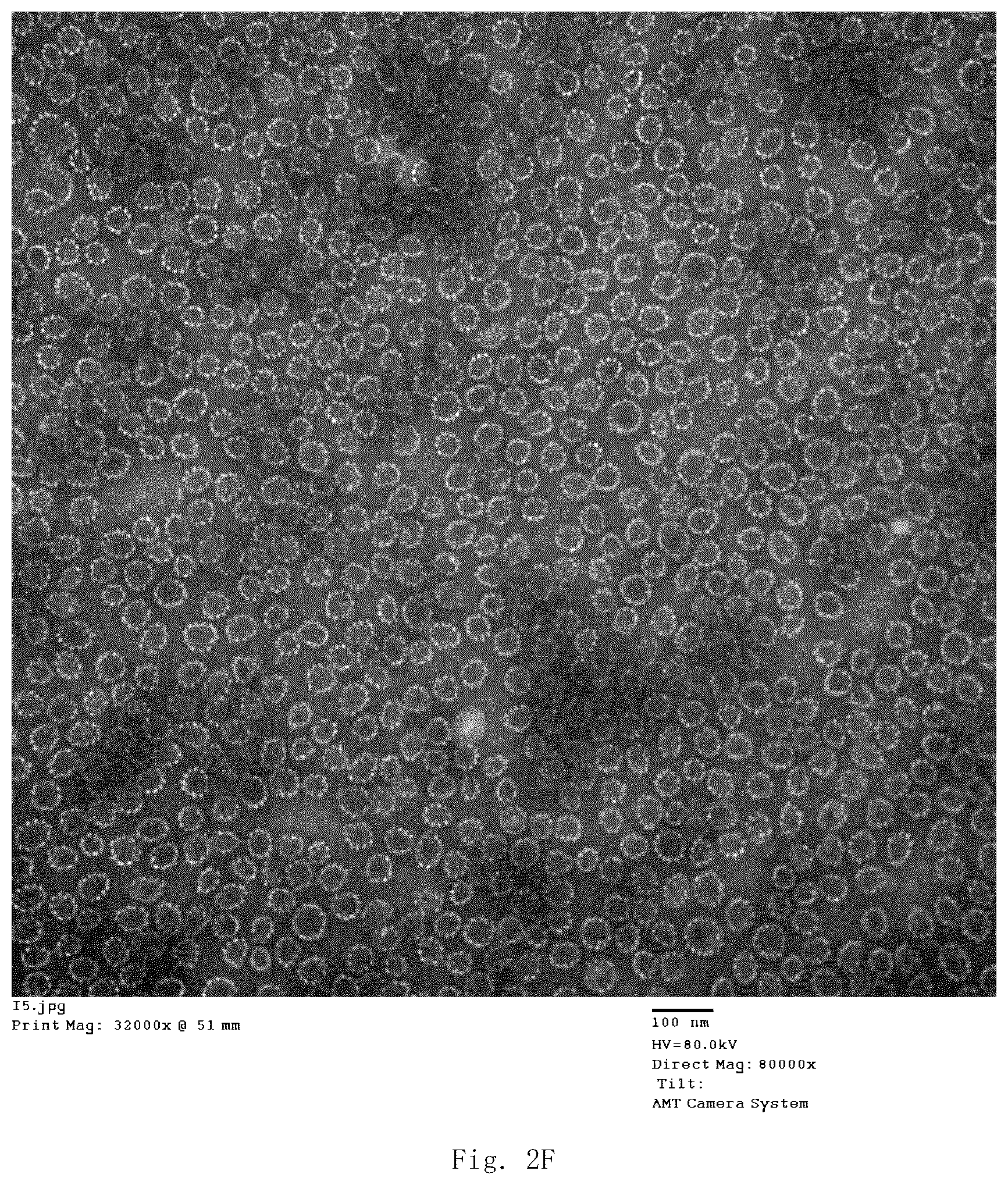 Patent US12139514 Figure 12 – Chimeric papilloma virus L1 protein