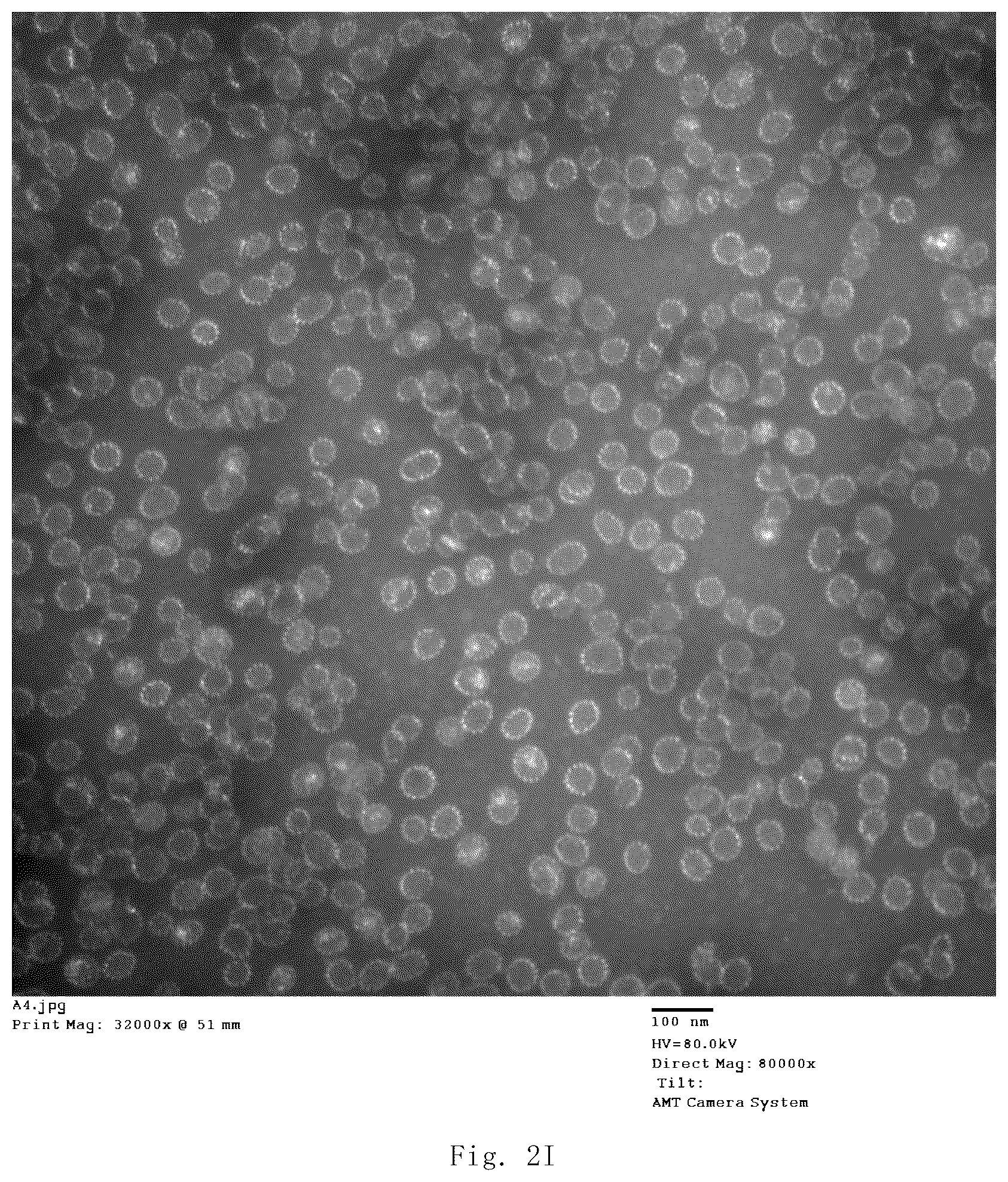 Patent US12139514 Figure 15 – Chimeric papilloma virus L1 protein
