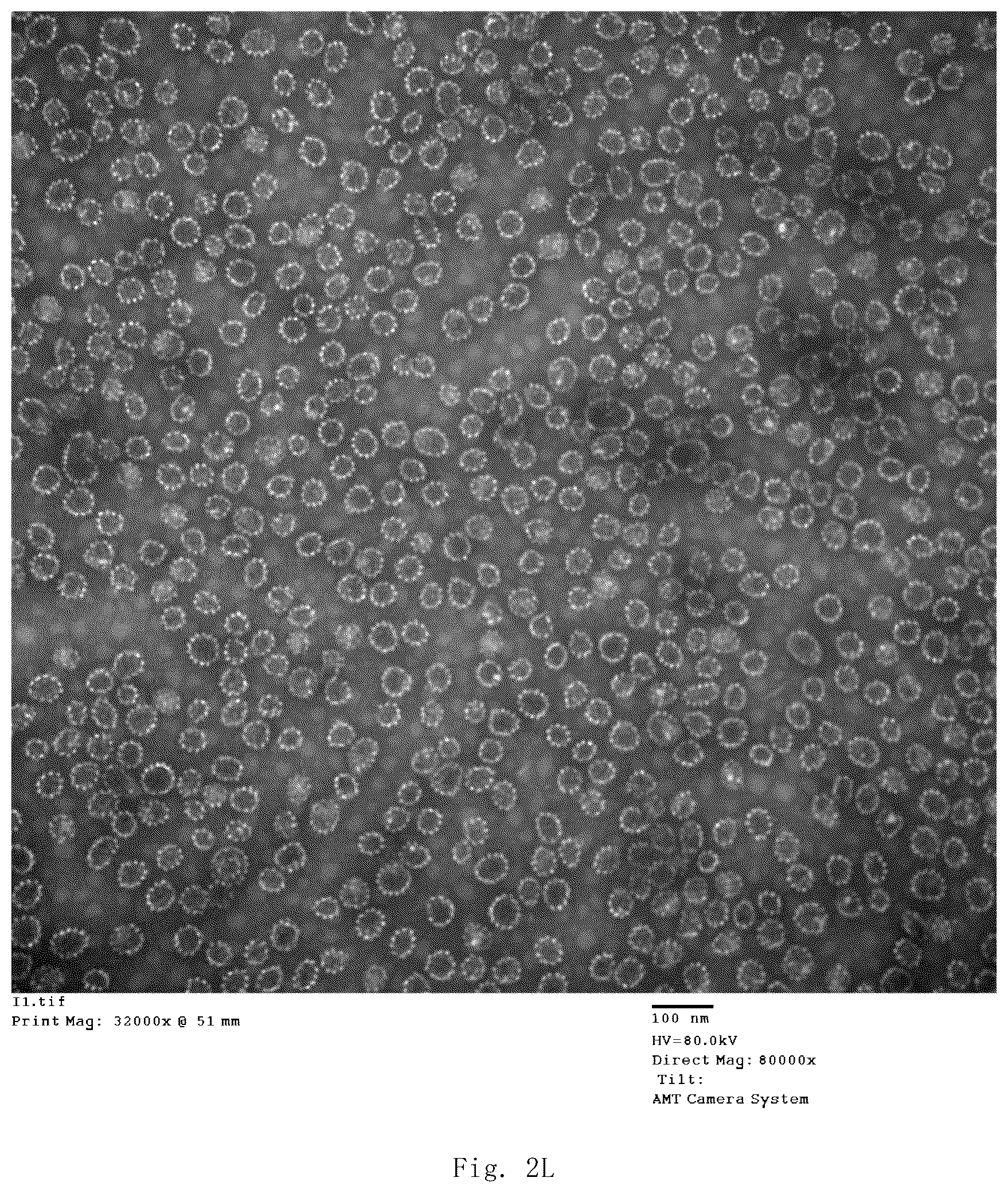 Patent US12139514 Figure 18 – Chimeric papilloma virus L1 protein