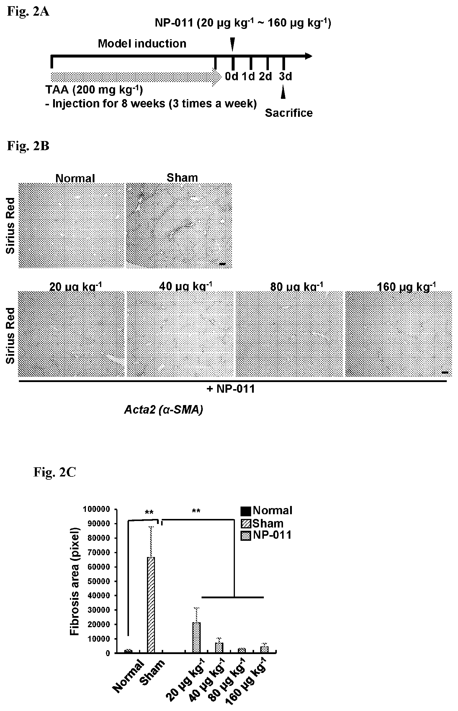 Patent US12139518 Figure 4 – Compositions and methods for treating or preventing fibrosis