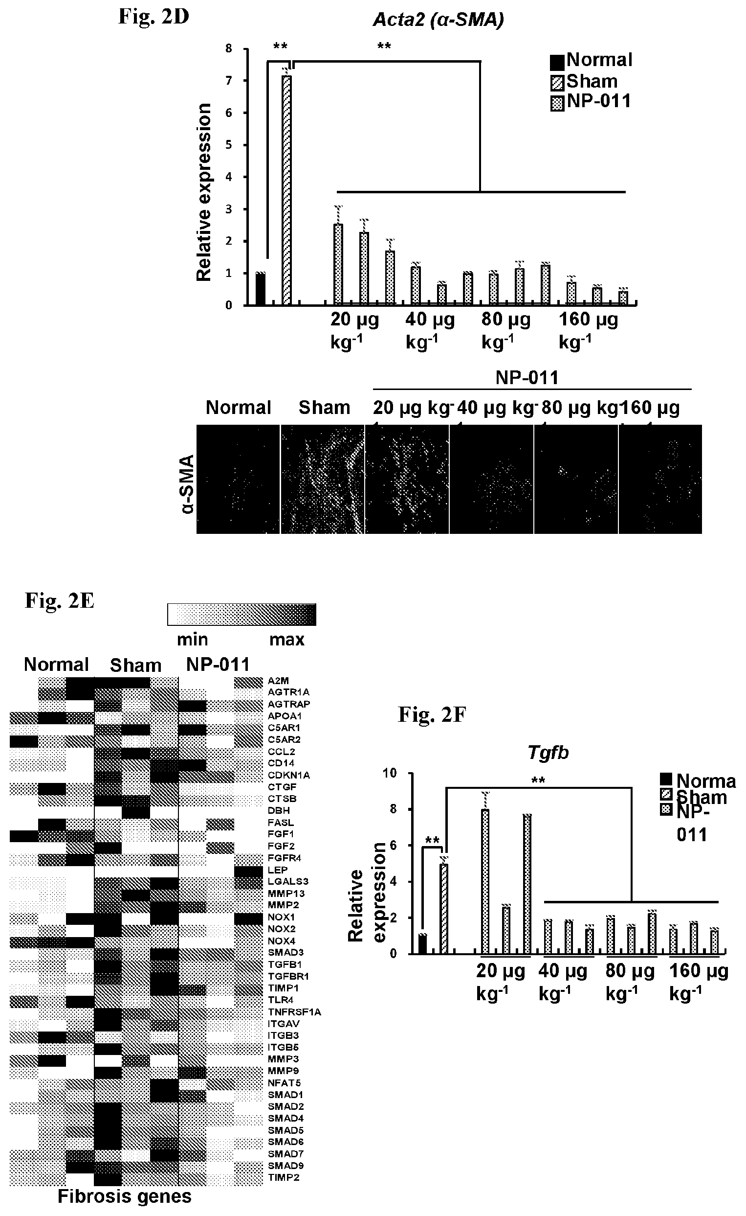 Patent US12139518 Figure 5 – Compositions and methods for treating or preventing fibrosis