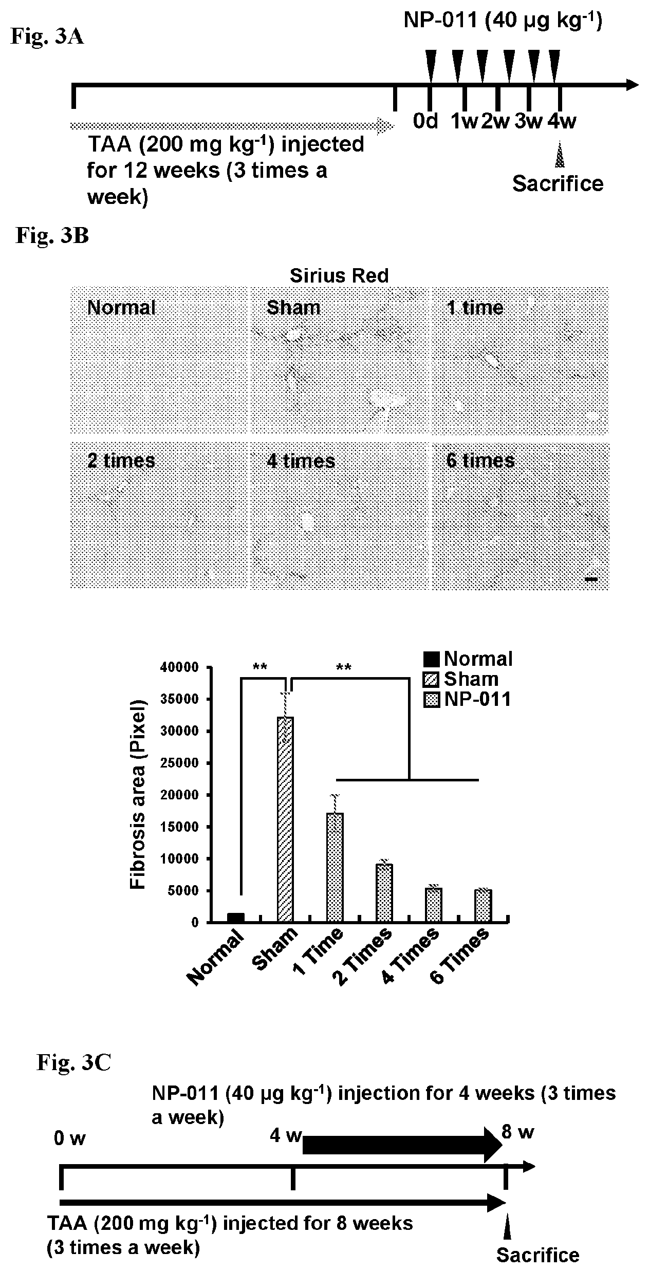 Patent US12139518 Figure 6 – Compositions and methods for treating or preventing fibrosis