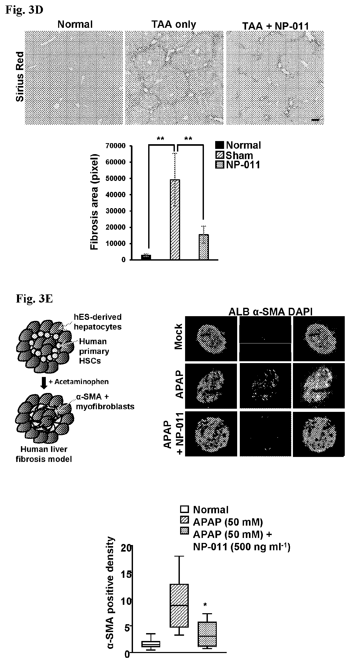 Patent US12139518 Figure 7 – Compositions and methods for treating or preventing fibrosis