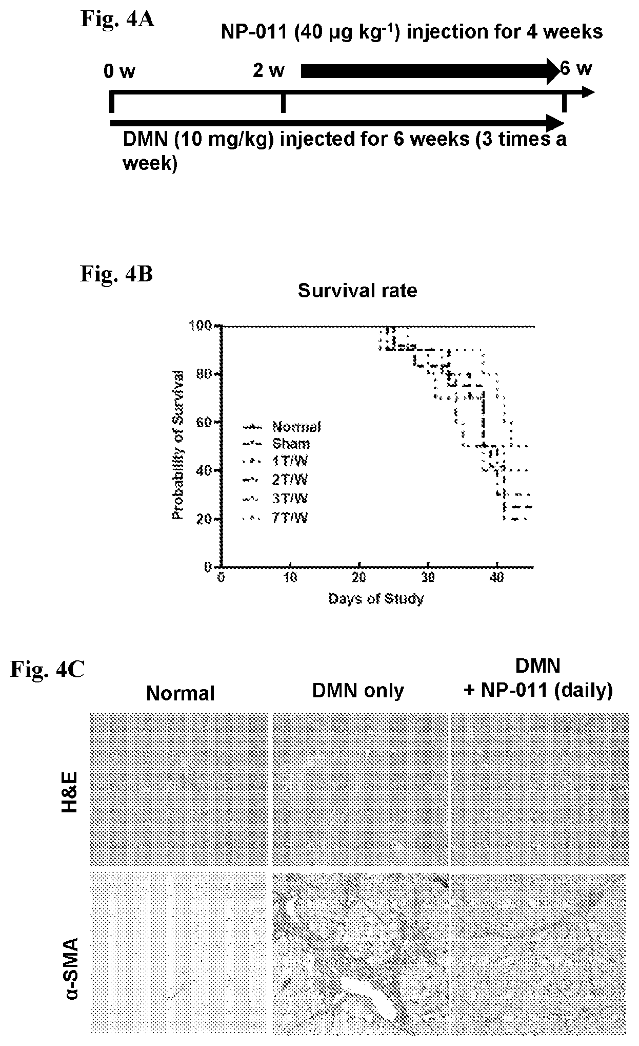 Patent US12139518 Figure 8 – Compositions and methods for treating or preventing fibrosis