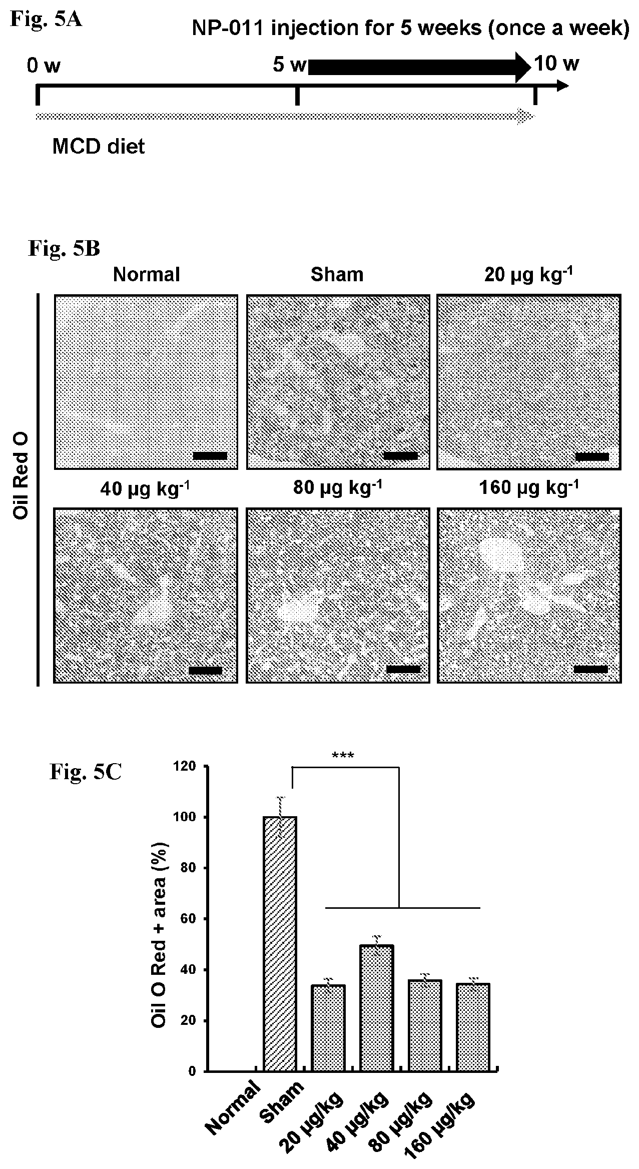 Patent US12139518 Figure 10 – Compositions and methods for treating or preventing fibrosis