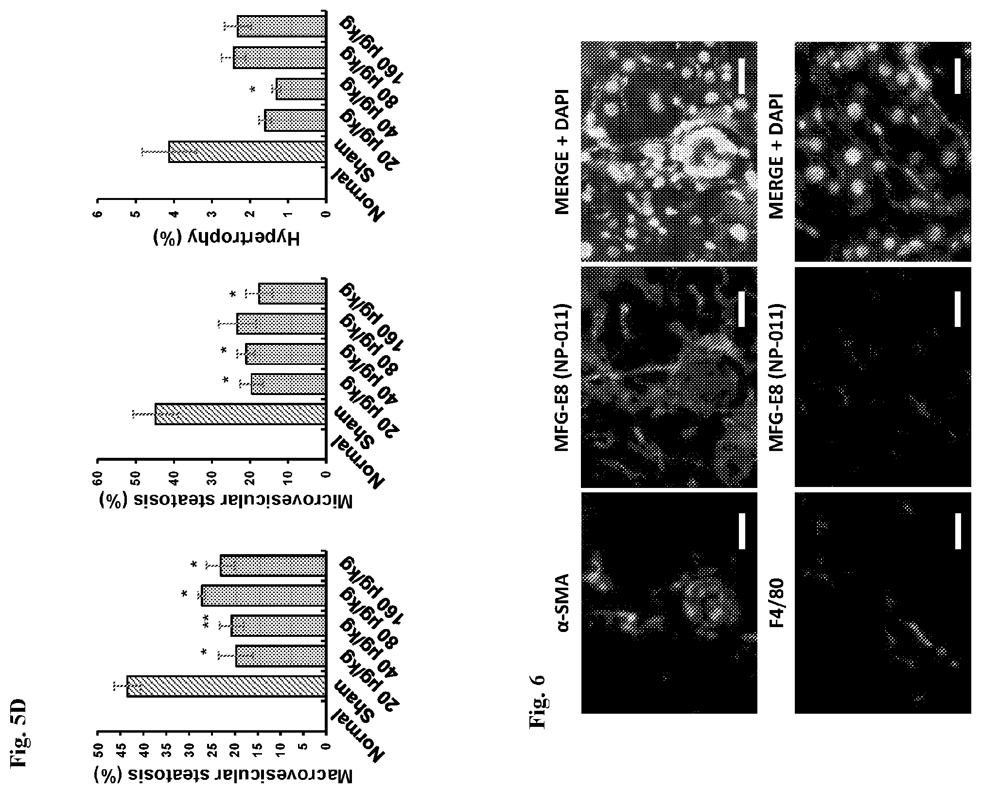 Patent US12139518 Figure 11 – Compositions and methods for treating or preventing fibrosis