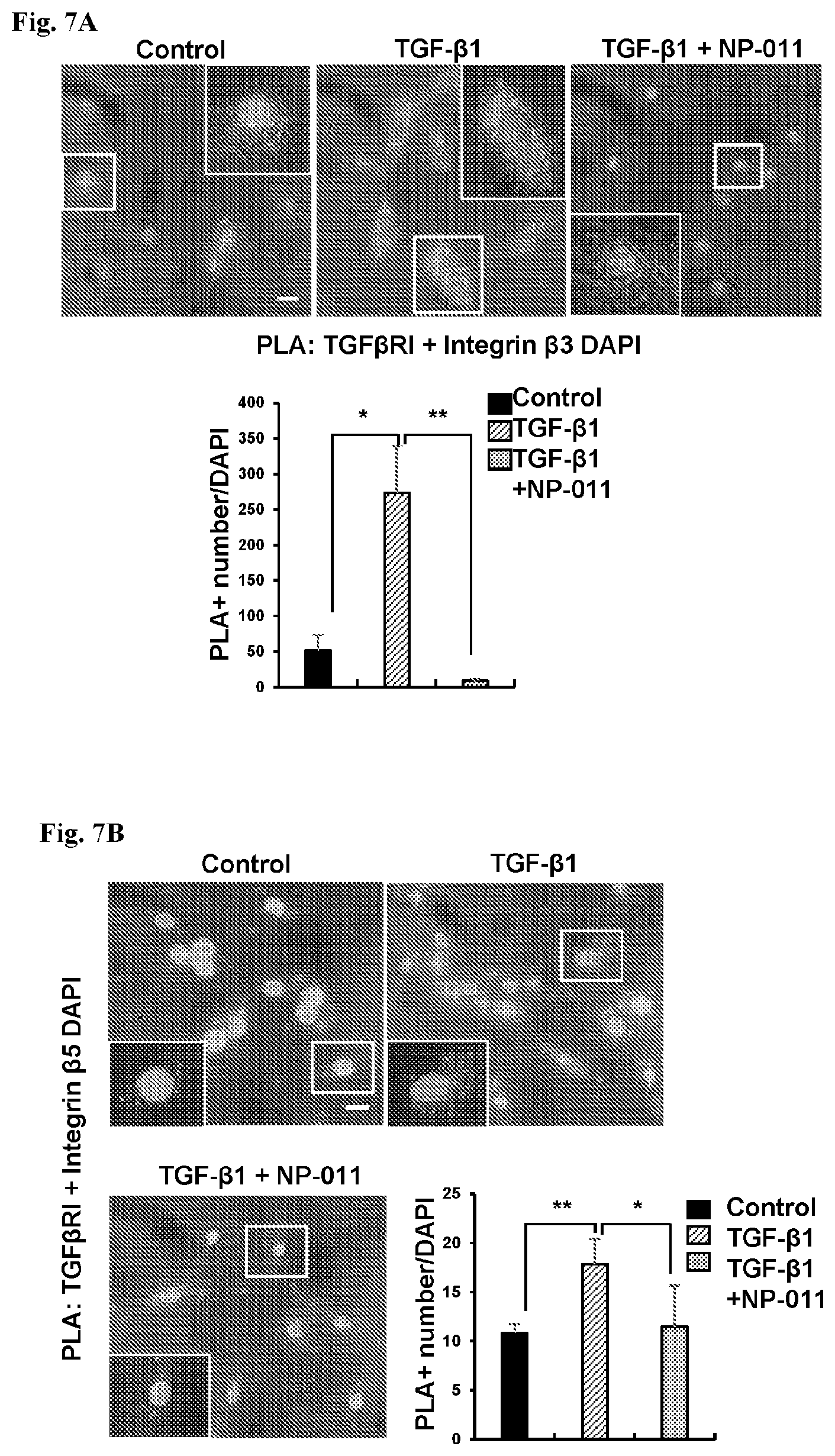 Patent US12139518 Figure 12 – Compositions and methods for treating or preventing fibrosis