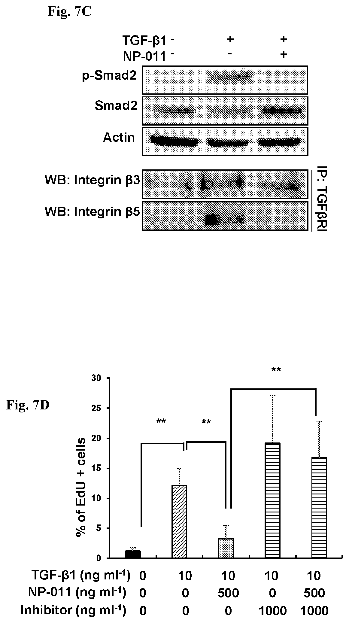 Patent US12139518 Figure 13 – Compositions and methods for treating or preventing fibrosis