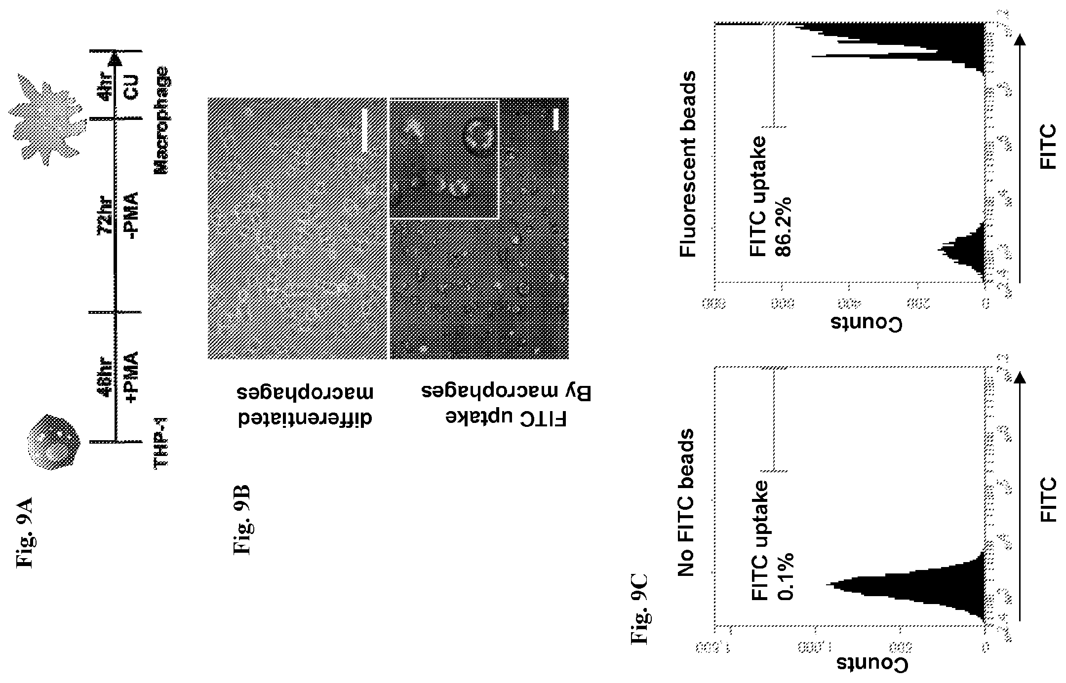 Patent US12139518 Figure 15 – Compositions and methods for treating or preventing fibrosis