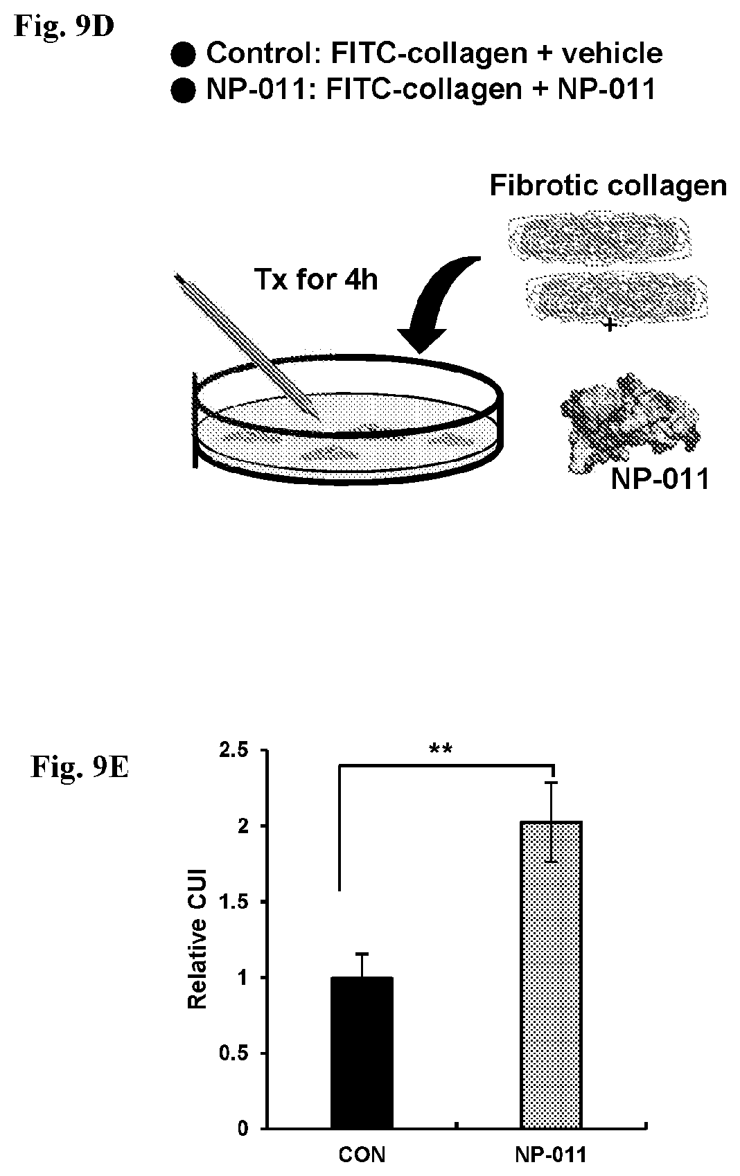 Patent US12139518 Figure 16 – Compositions and methods for treating or preventing fibrosis