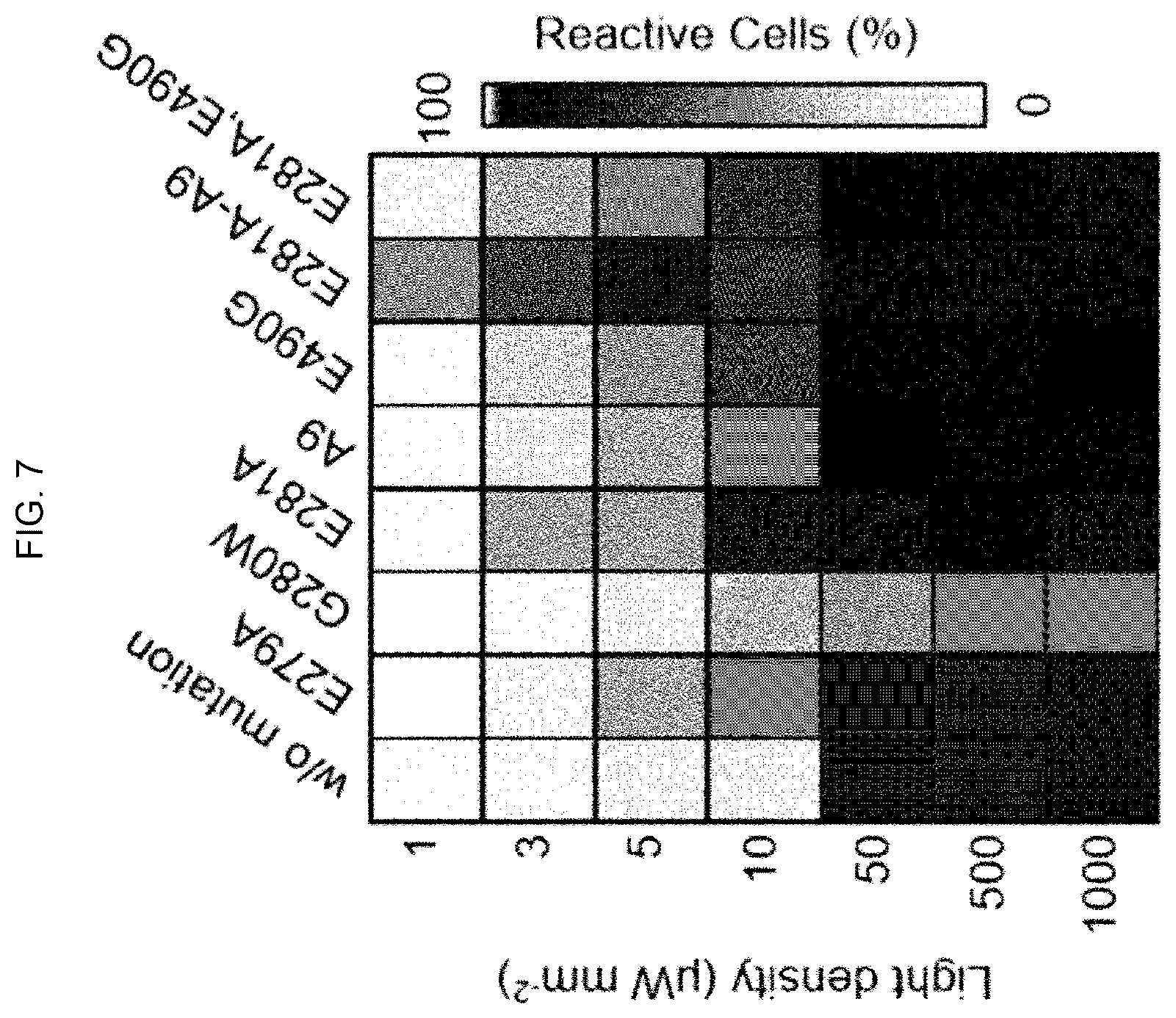 Patent US12139519 Figure 6 – CRY2 variant having increased photosensitivity and use thereof