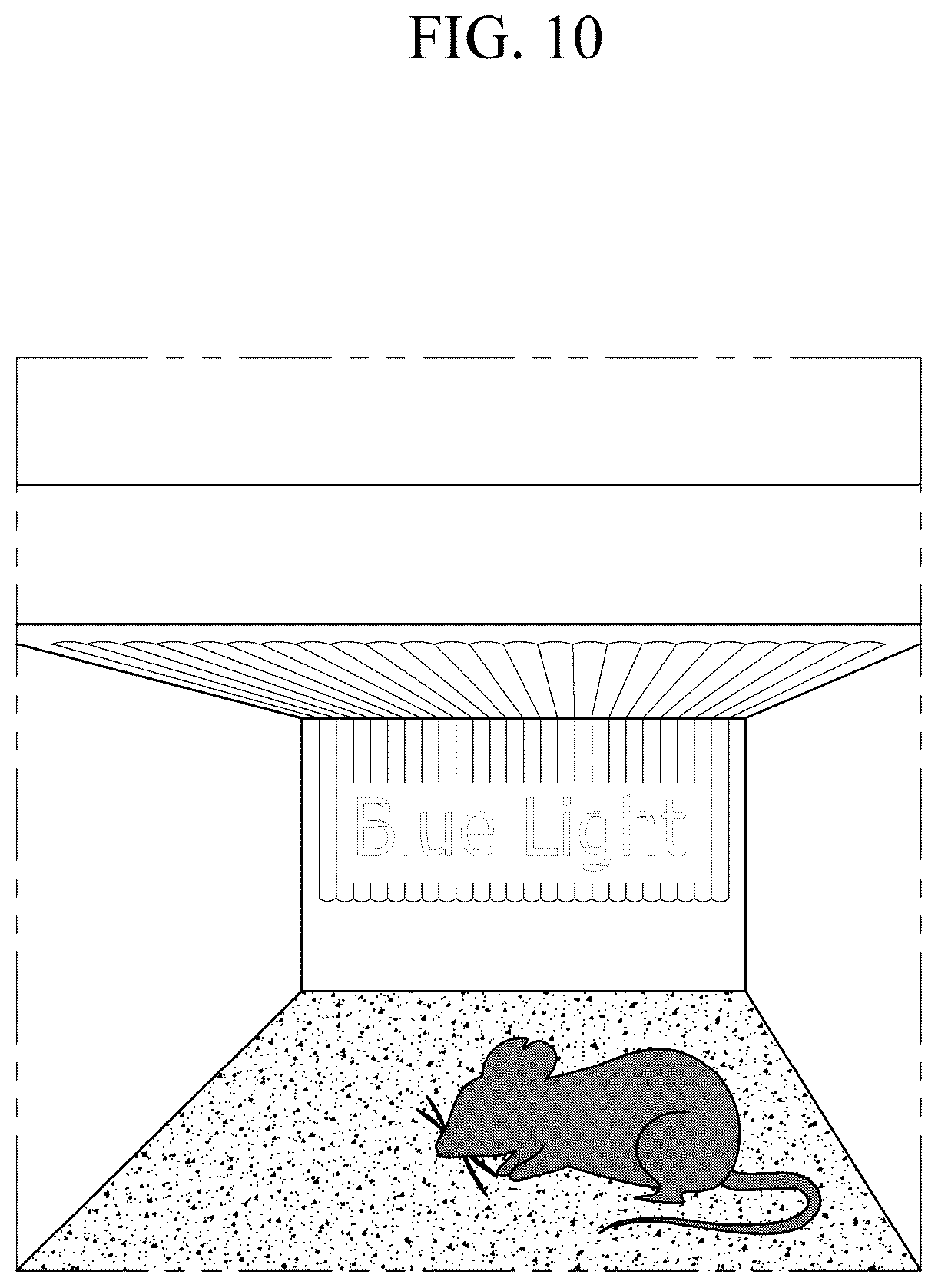 Patent US12139519 Figure 9 – CRY2 variant having increased photosensitivity and use thereof
