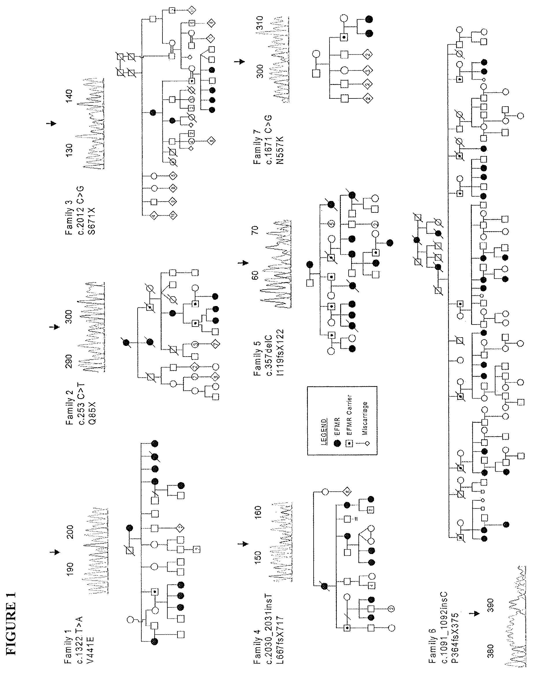 Patent US12139521 — Diagnostic and therapeutic methods for EFMR (epilepsy and mental retardation limited to females) — Figure 1