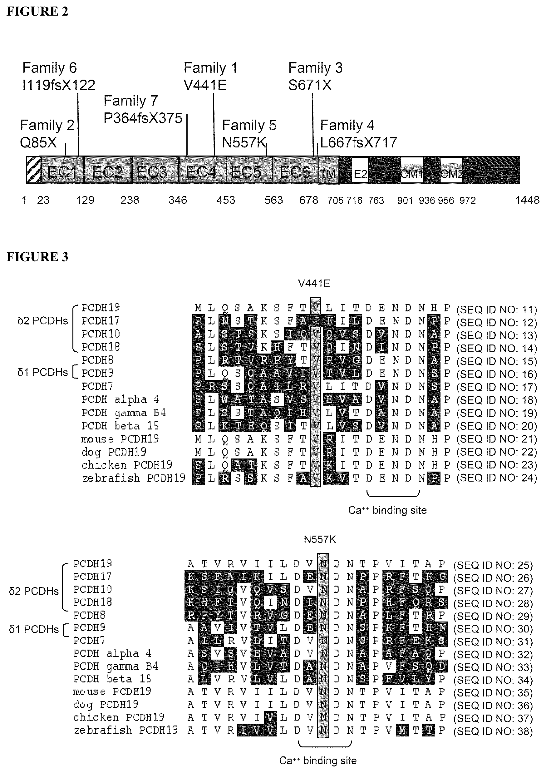 Patent US12139521 Figure 2 – Diagnostic and therapeutic methods for EFMR (epilepsy and mental retardation limited to females)