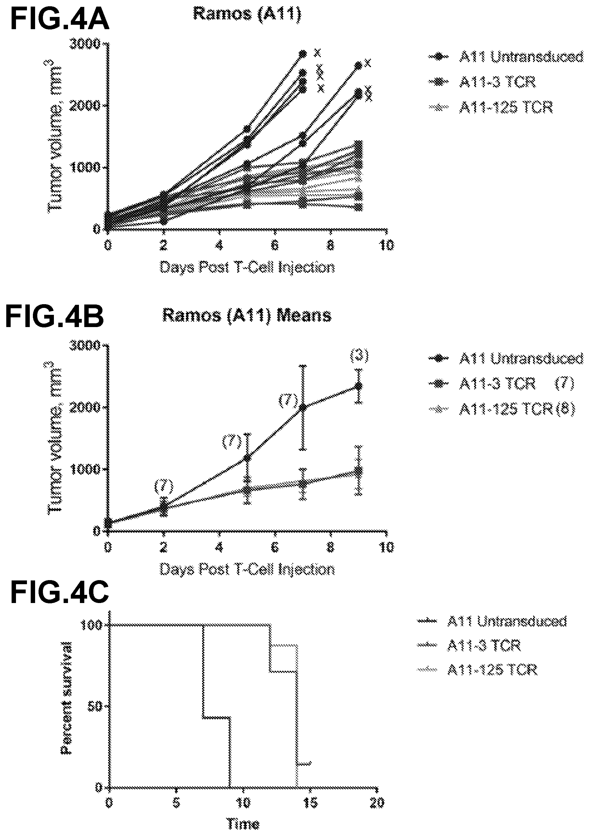 Patent US12139523 Figure 4 – Anti-LMP2 TCR-T cell therapy for the treatment of EBV-associated cancers