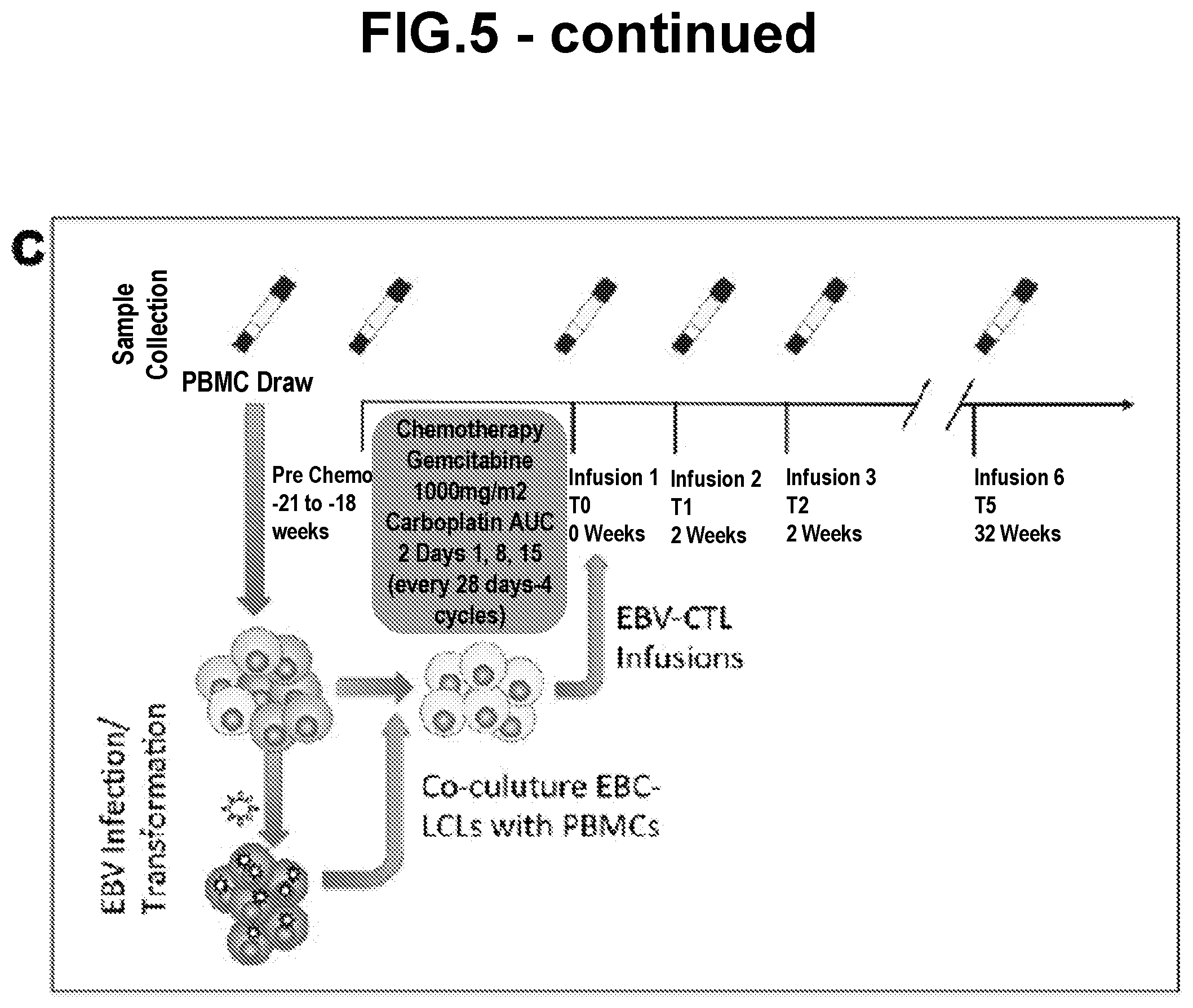 Patent US12139523 Figure 7 – Anti-LMP2 TCR-T cell therapy for the treatment of EBV-associated cancers