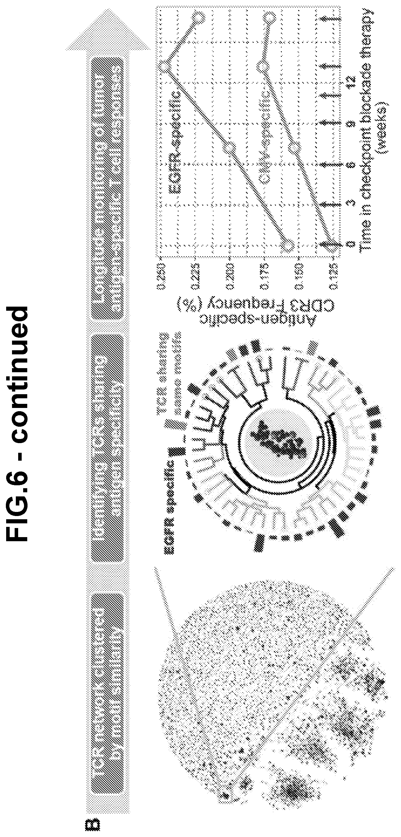 Patent US12139523 Figure 11 – Anti-LMP2 TCR-T cell therapy for the treatment of EBV-associated cancers