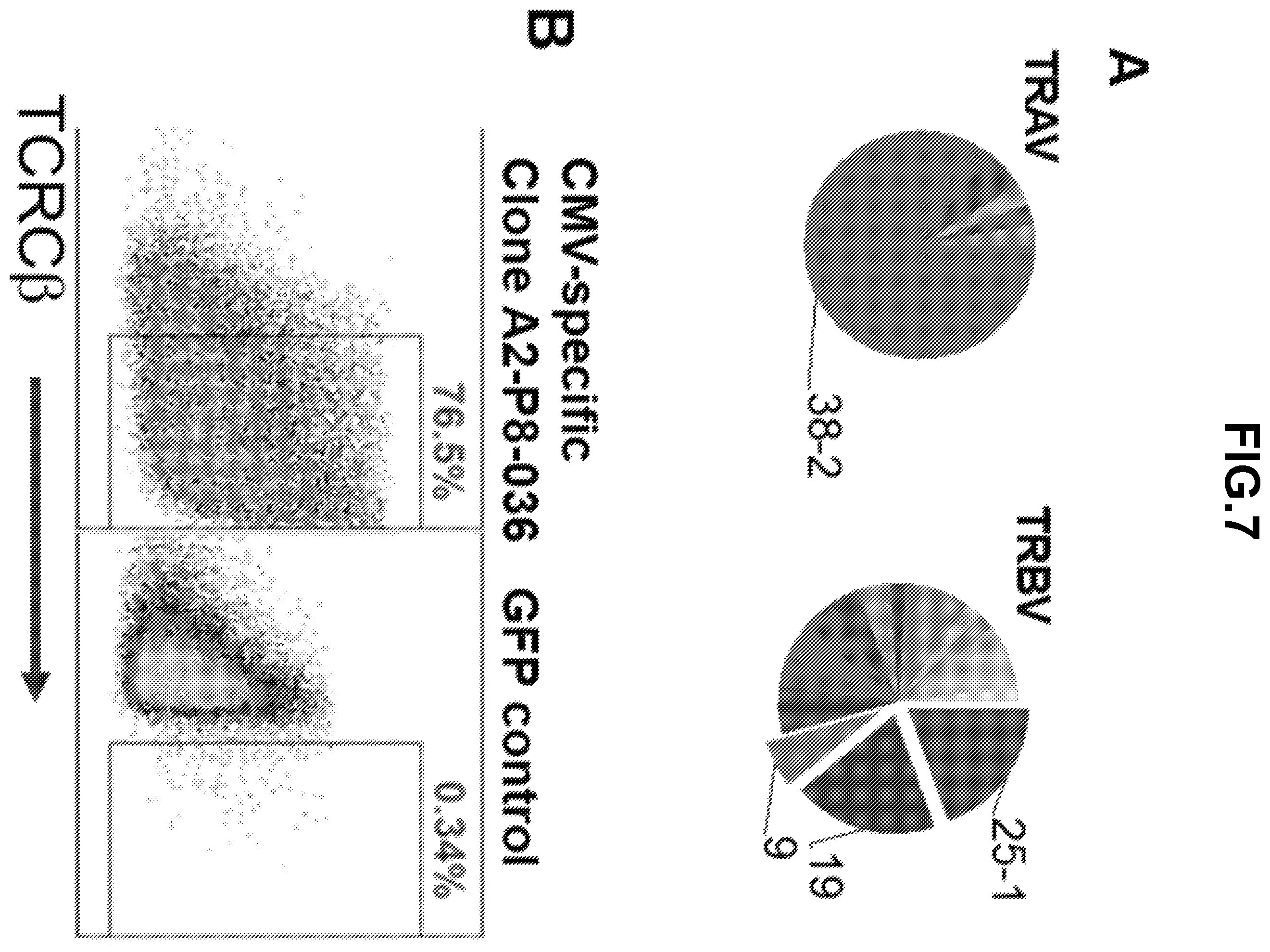 Patent US12139523 Figure 12 – Anti-LMP2 TCR-T cell therapy for the treatment of EBV-associated cancers