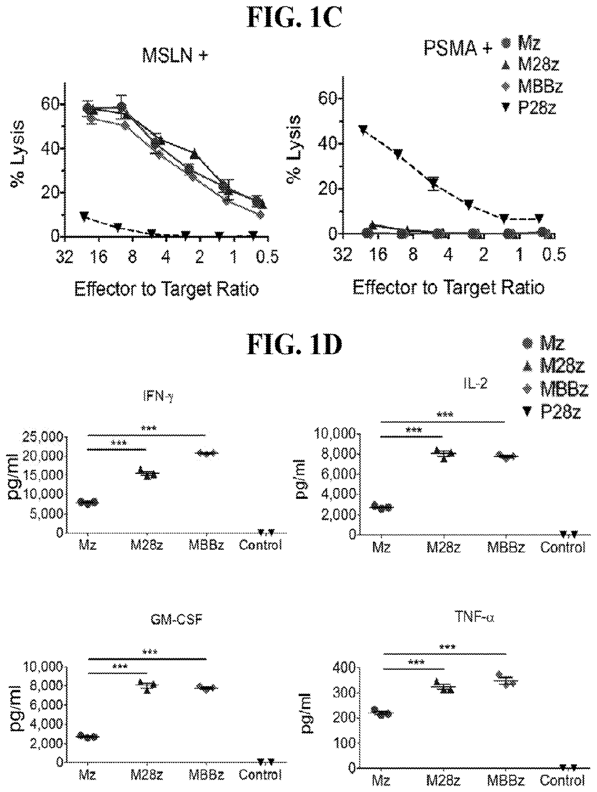 Patent US12139524 Figure 2 – Immune cell compositions and methods of use