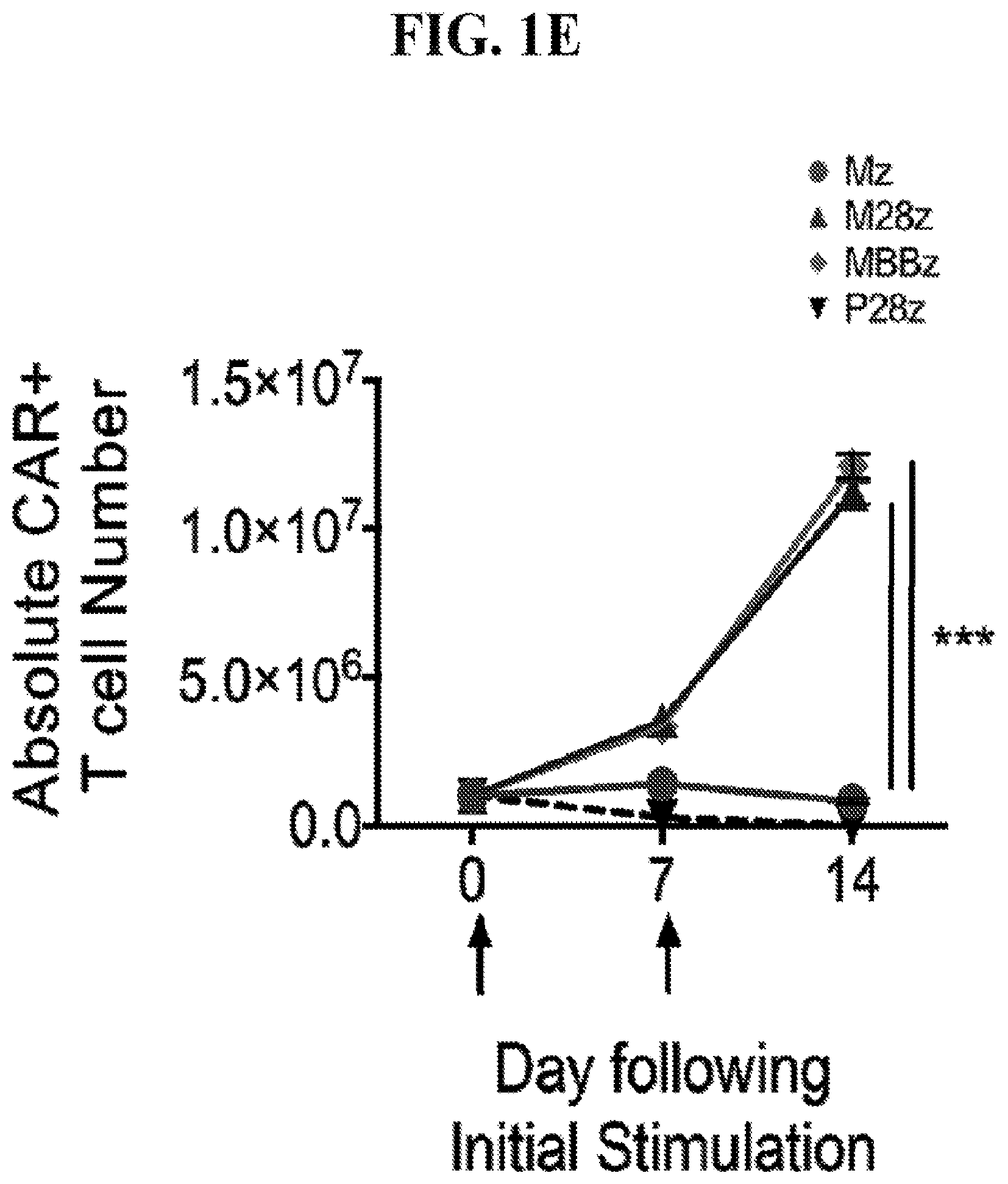 Patent US12139524 Figure 3 – Immune cell compositions and methods of use