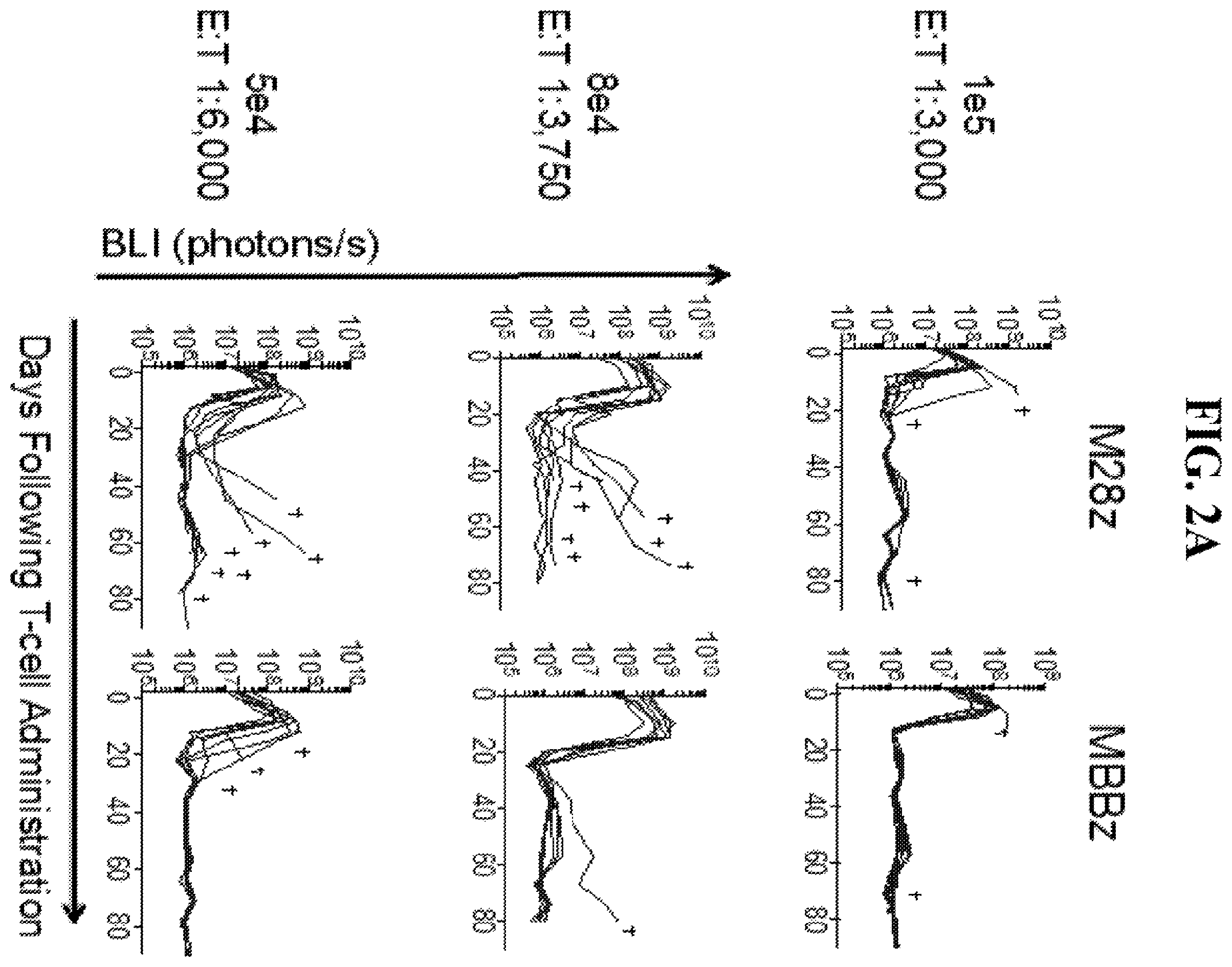 Patent US12139524 Figure 4 – Immune cell compositions and methods of use
