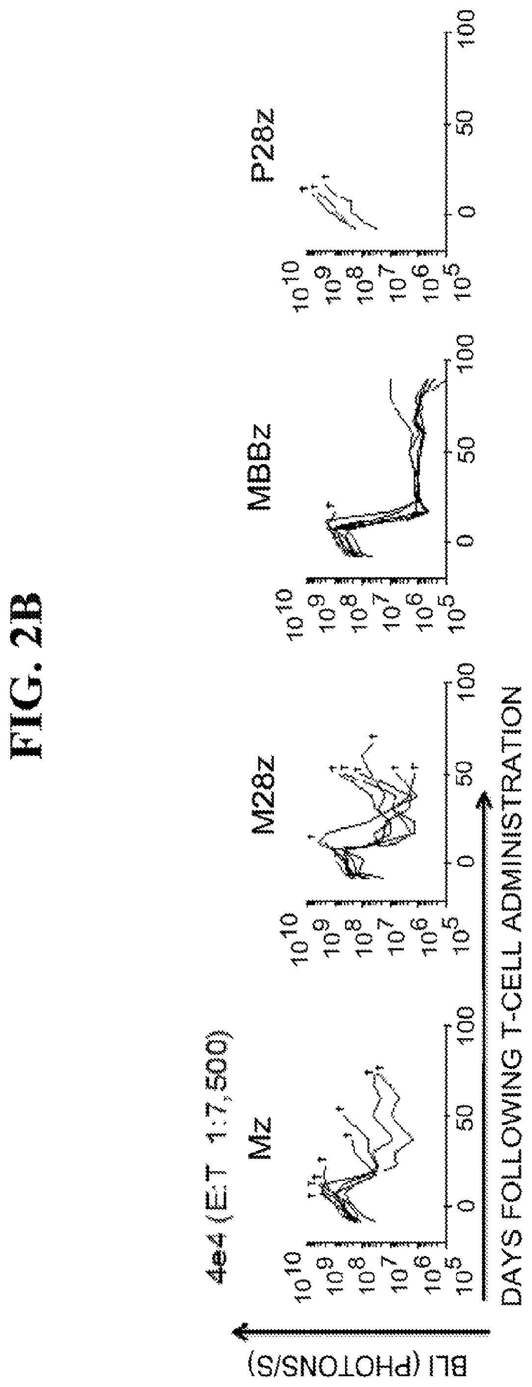 Patent US12139524 Figure 5 – Immune cell compositions and methods of use