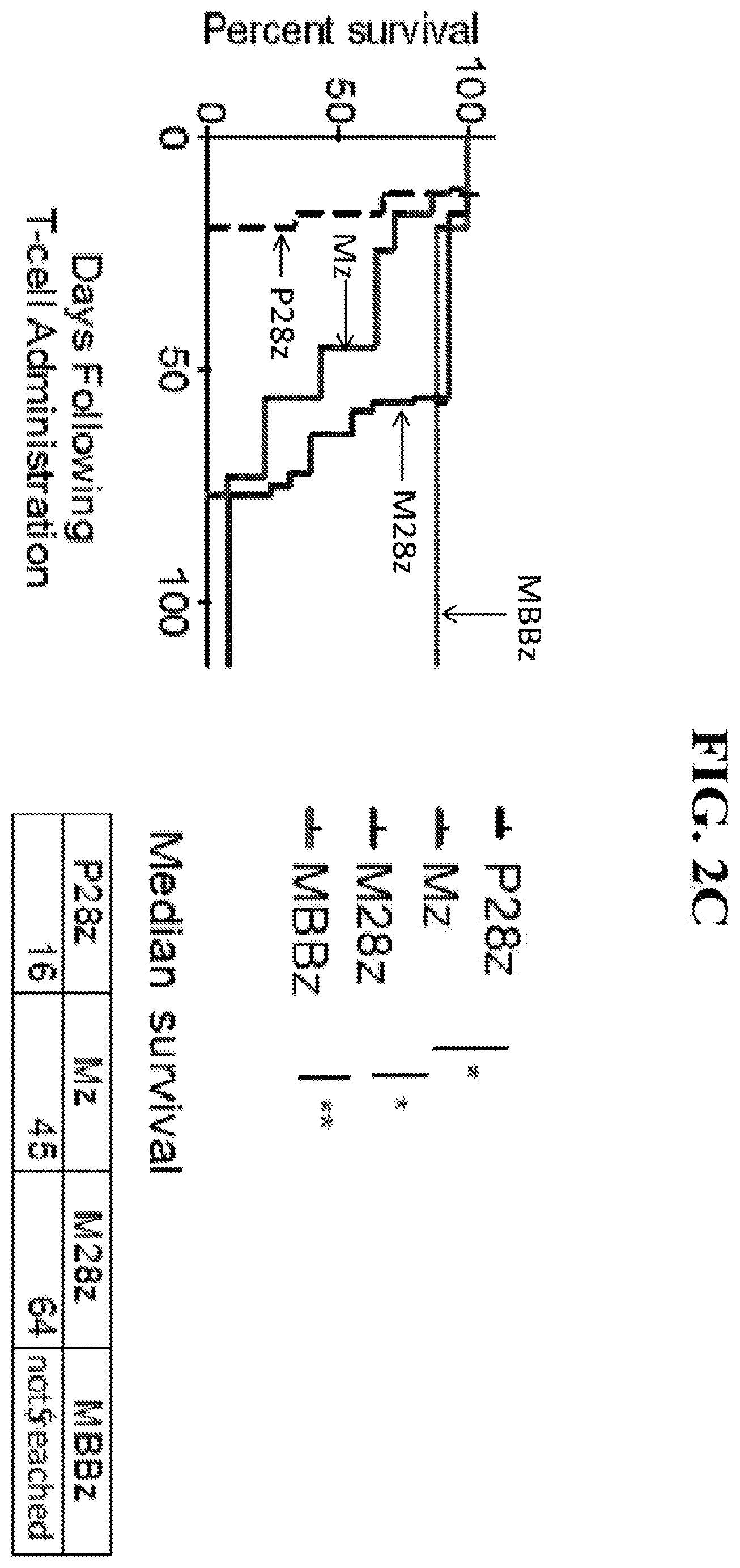 Patent US12139524 Figure 6 – Immune cell compositions and methods of use