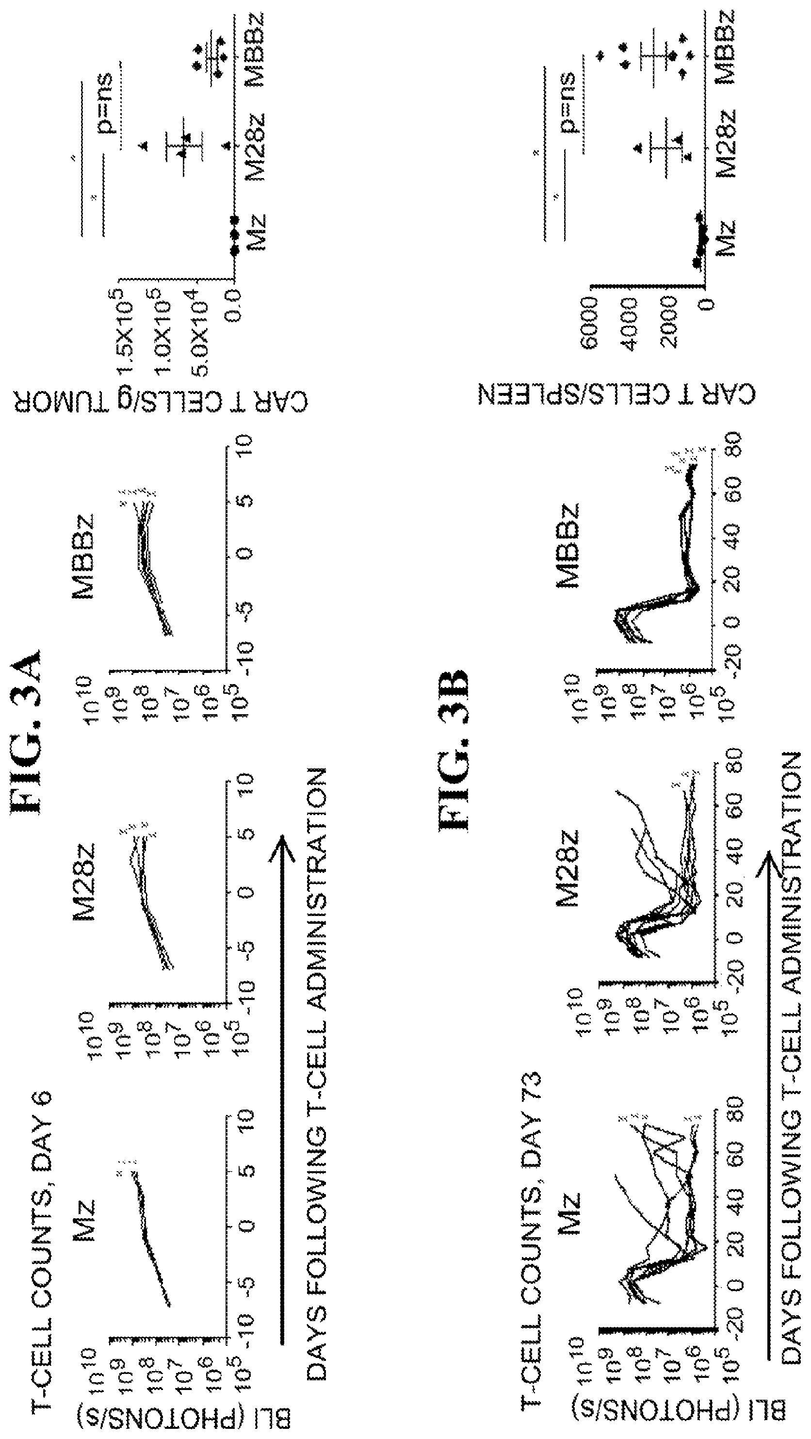 Patent US12139524 Figure 7 – Immune cell compositions and methods of use