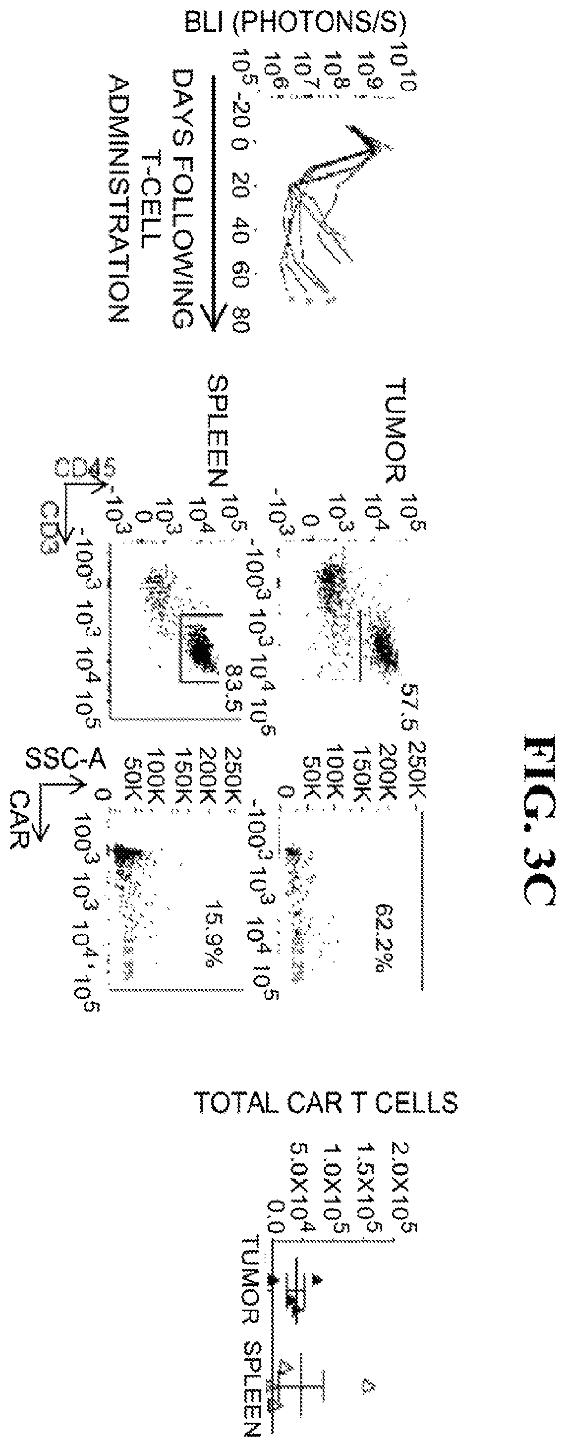 Patent US12139524 Figure 8 – Immune cell compositions and methods of use