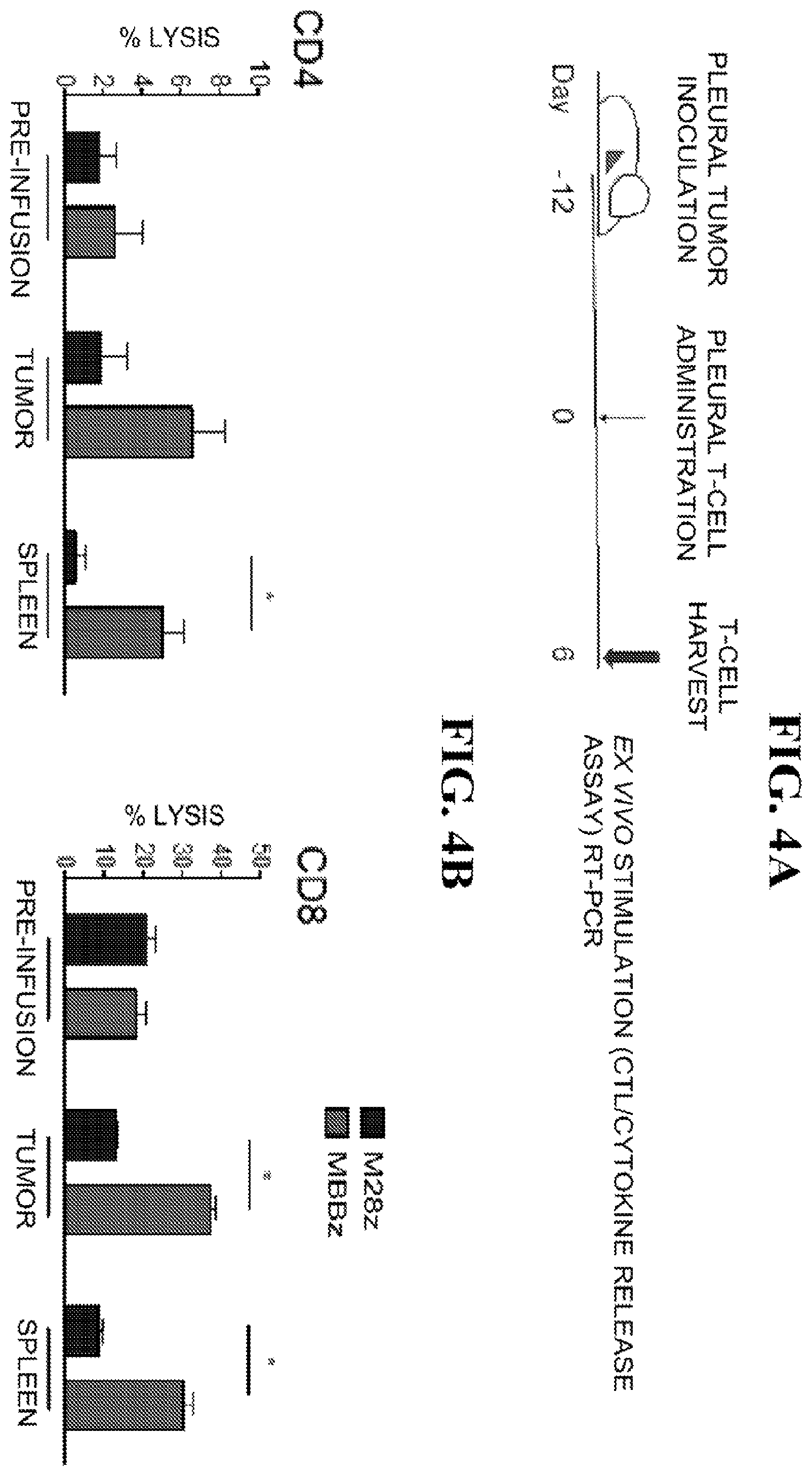 Patent US12139524 Figure 9 – Immune cell compositions and methods of use