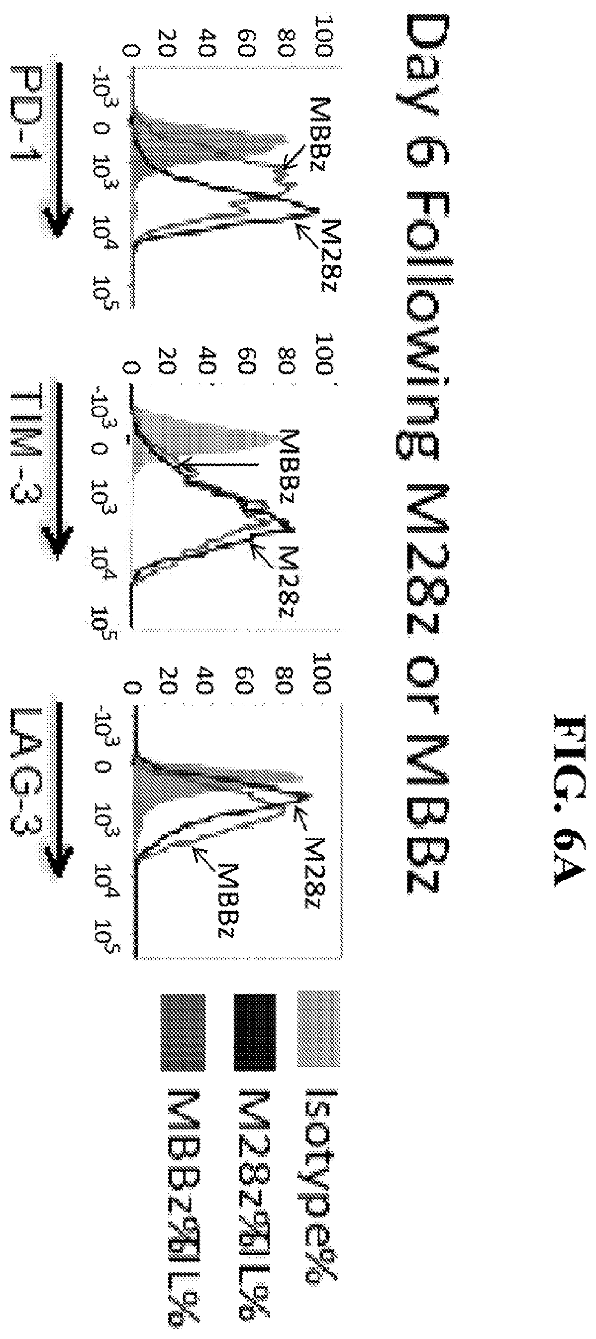 Patent US12139524 Figure 15 – Immune cell compositions and methods of use